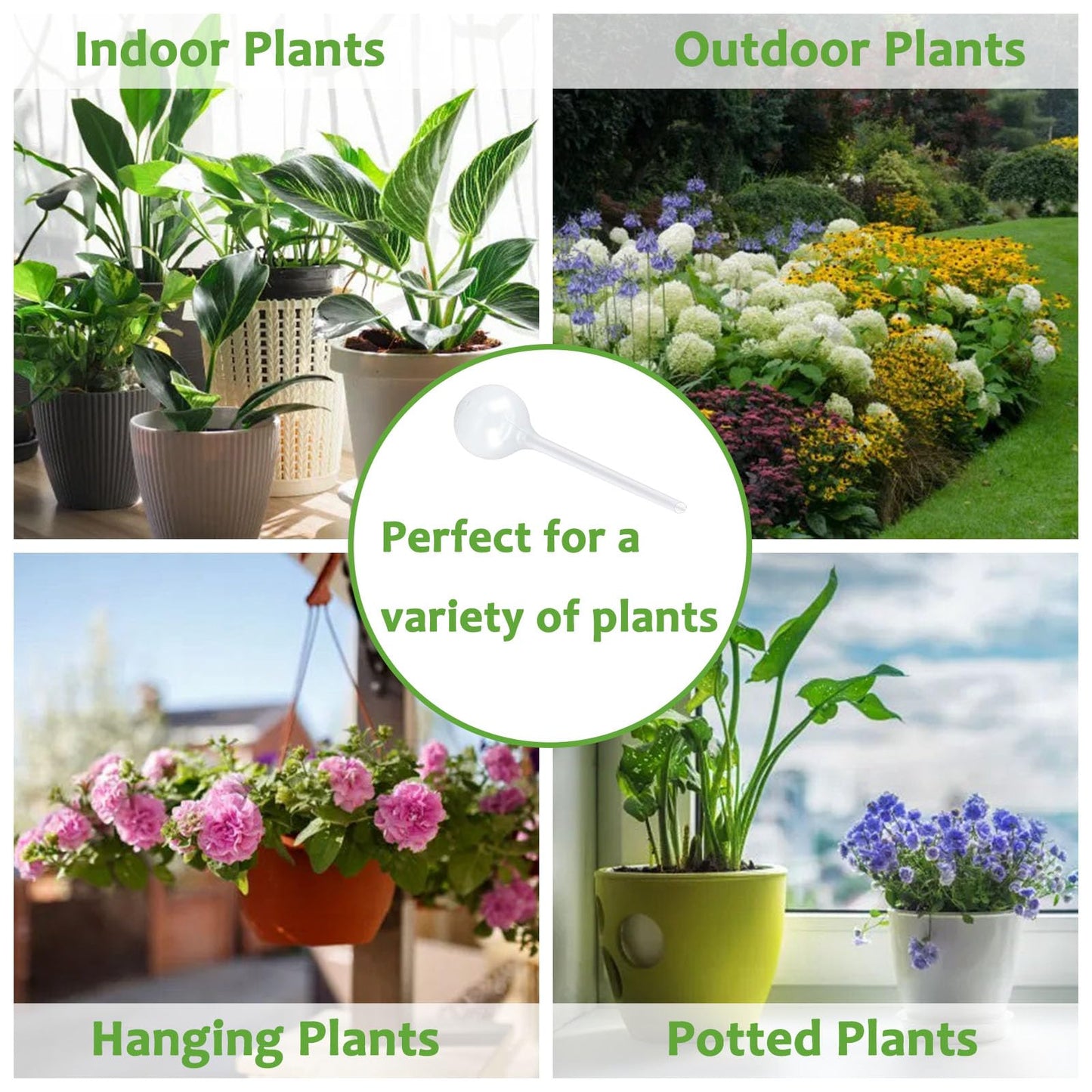 Plant Watering Globes, Self Watering Bulbs for Indoor & Outdoor Plants, Plastic Self-Watering Balls Automatic Water Irrigation Device (Clear, Large 12 Pack)