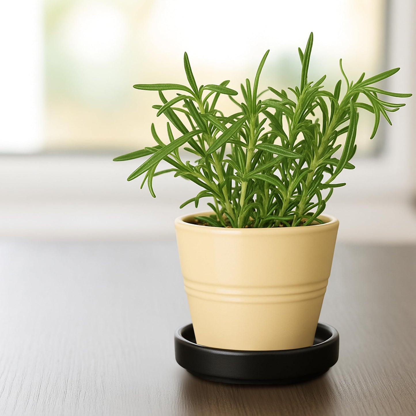 D'vine Dev Modern Round 3.7 Inch Ceramic Plant Pot Saucer, Planter Pot Drainage Tray for Indoor Plants, Matte Black, 97-T-B-1