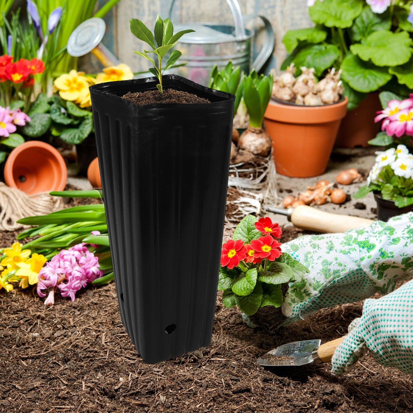 Sewroro 30 Pcs Plant Grow Bags Plastic Thickened Nursery Seedling Bags Gardening Planting Containers for Trees and Flowers