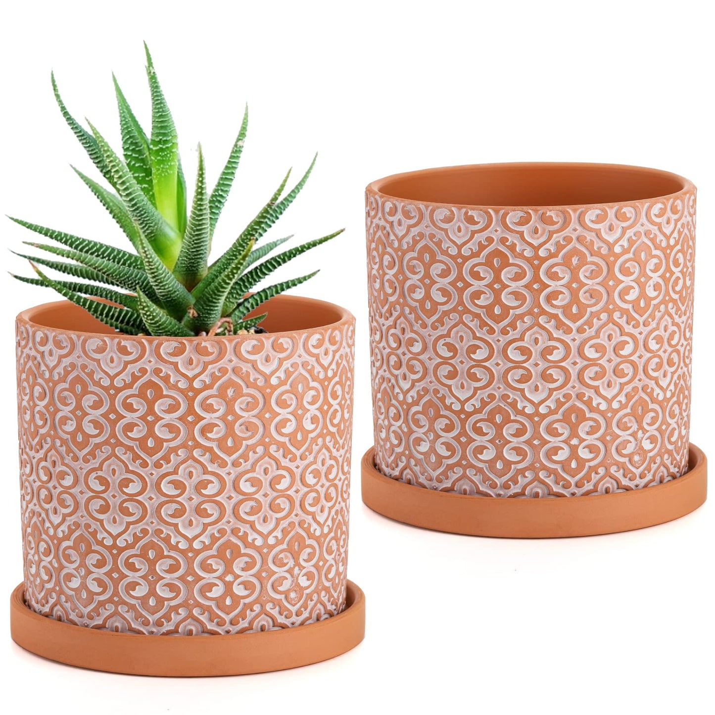 Frcctre 2 Pack Terracotta Pots for Plants, 5 Inch Succulent Planter Pot with Drainage Hole and Saucer, Clay Pottery Pots for Indoor Plants, Cactus, Succulent, Herbs