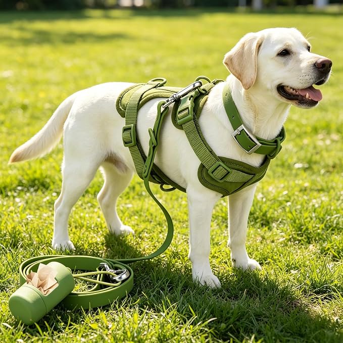 4-in-1 No Pull Dog Harness Set with Collar, Leash, Poop Bag, Adjustable, M