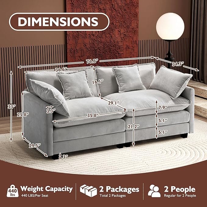 Ihanherry Cloud Sofa 77 Inch Loveseat, Modern Sectional Couch, 2-Seats Sofa