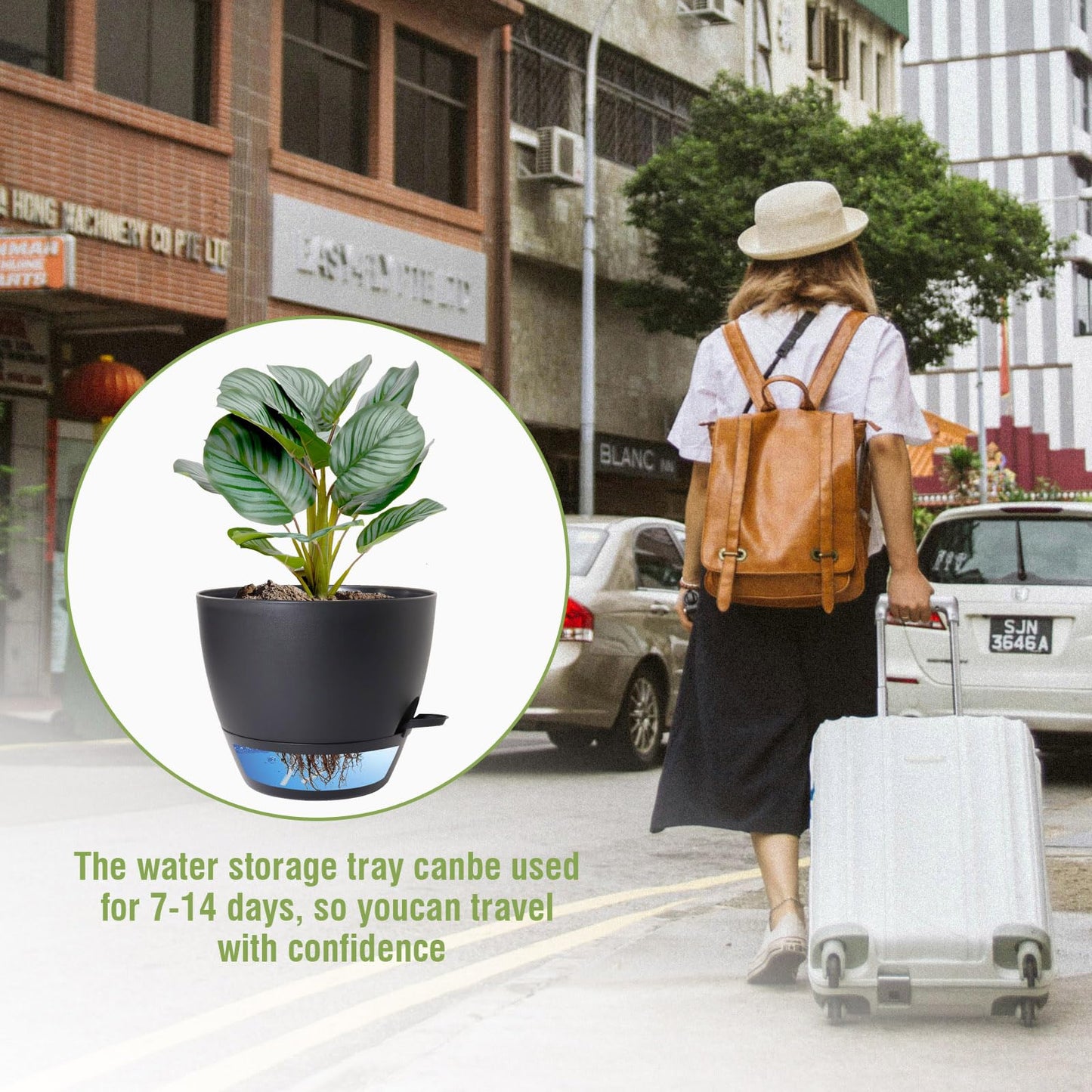 WSMKSZ 8 inch Self Watering Pots, 2 Pack Plastic Planters with Mesh Drainage Holes for Garden Plants and Flower, Plants Pots with Deep Reservoir for Indoor Outdoor Plants, Black