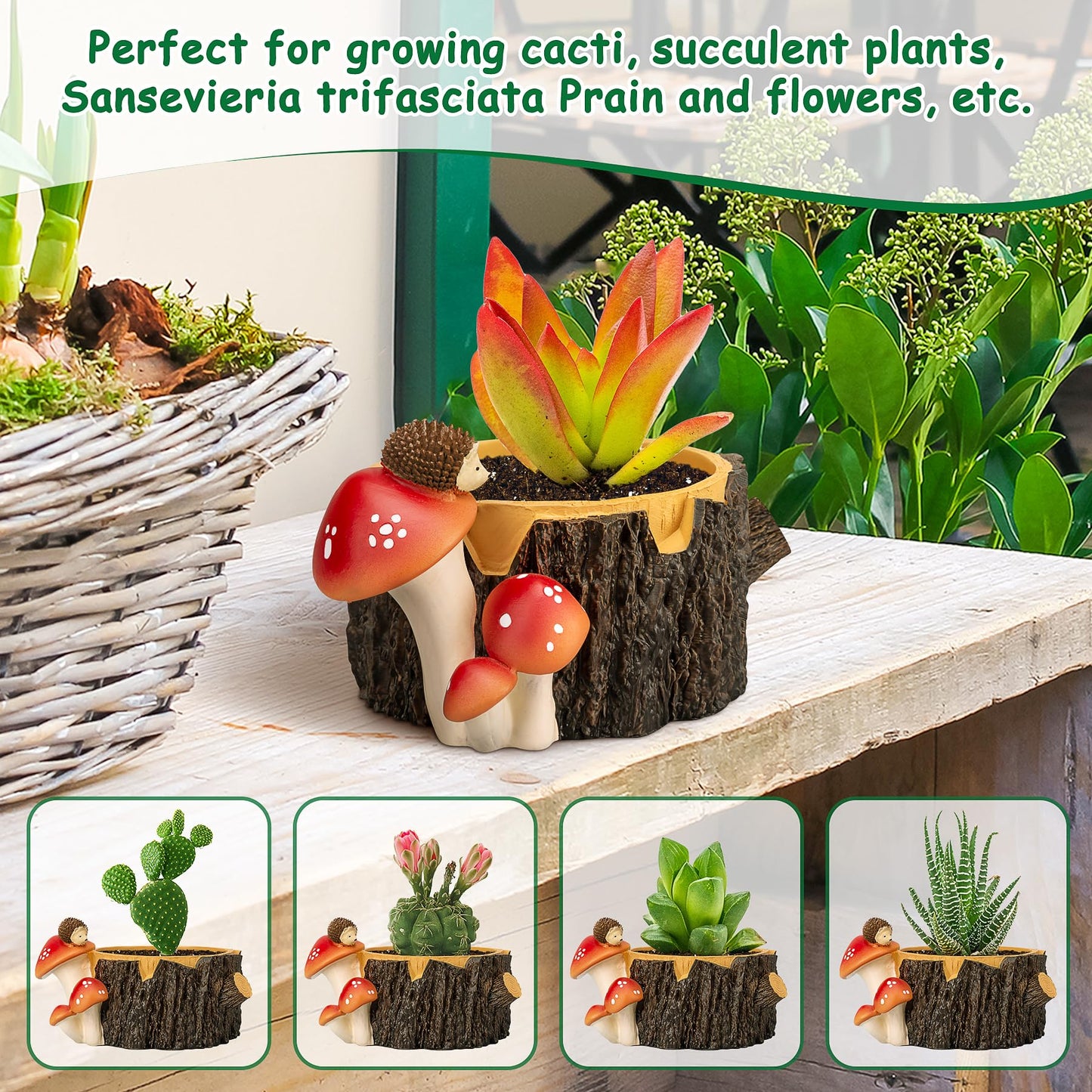 Yiiwinwy Hedgehog Succulent Pots with Drainage Hole，Plant Pots for Indoor Plants/Cactus/Succulent,Indoor Planter Gift for Plant Lover, Decorative Novelty Planter