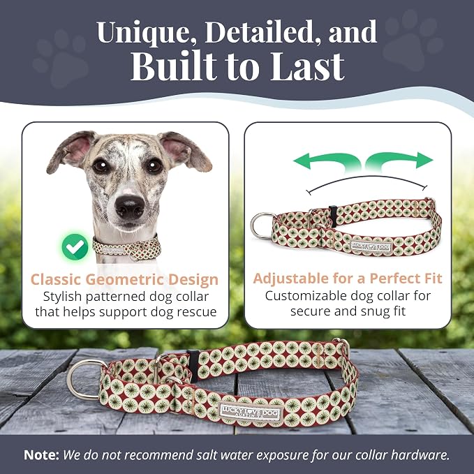 Lucky Love Dog Martingale Dog Collar - Adjustable, No-Slip, Durable, & Soft Webbing Collar for Male and Female Dogs Ideal for Training & Walking - in Unique Pongo Pattern, Medium Size