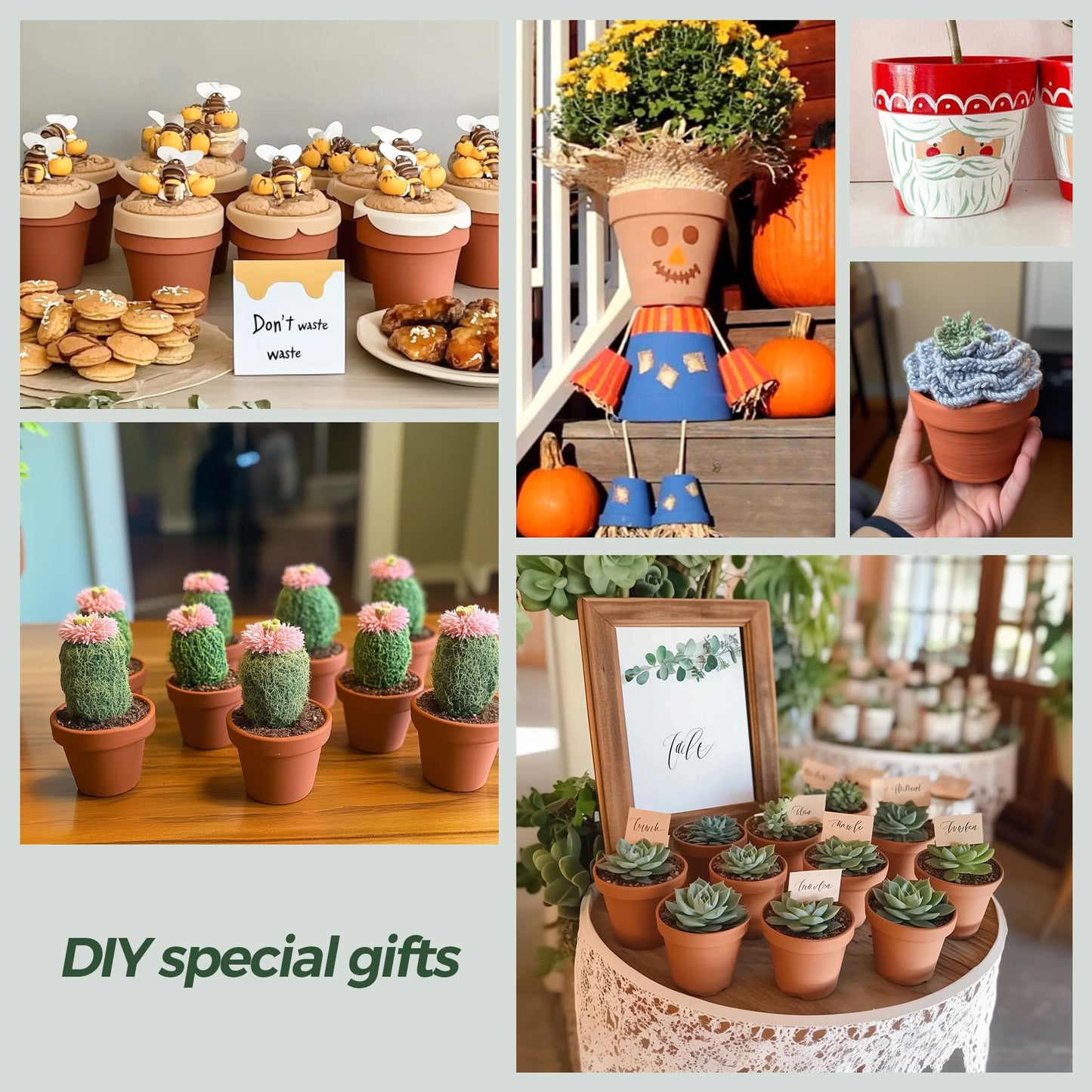 T4U Mini Terracotta Pots (36pcs): 2 Inch Small Clay Pots with Drainage Holes, Ideal for Succulent Cactus Plants, DIY Crafts, Home Decor