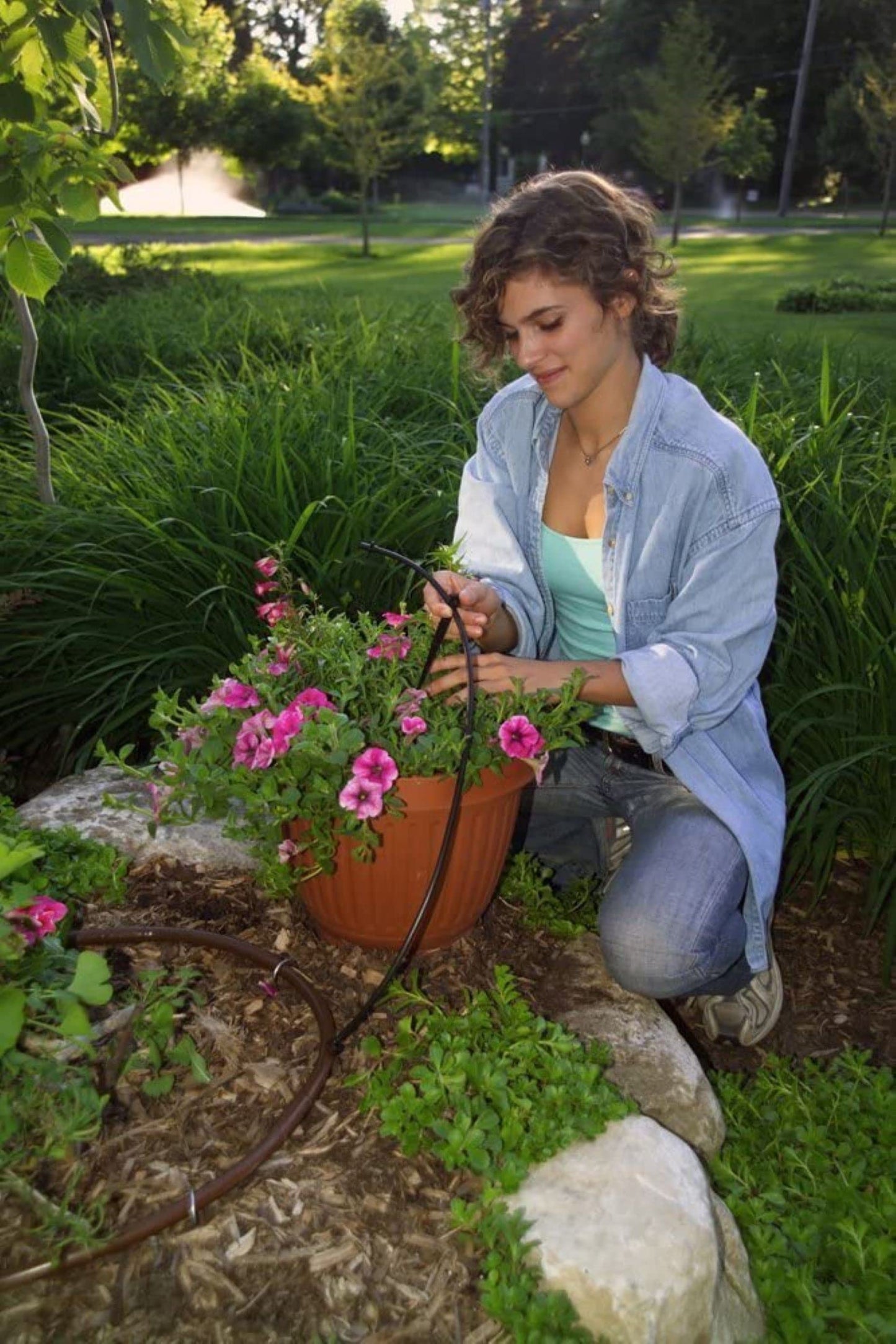 Rain Bird SW10-30PS Drip Irrigation Spot Watering Dripper/Emitter,1 Gallon Per Hour,(Pack of 300)