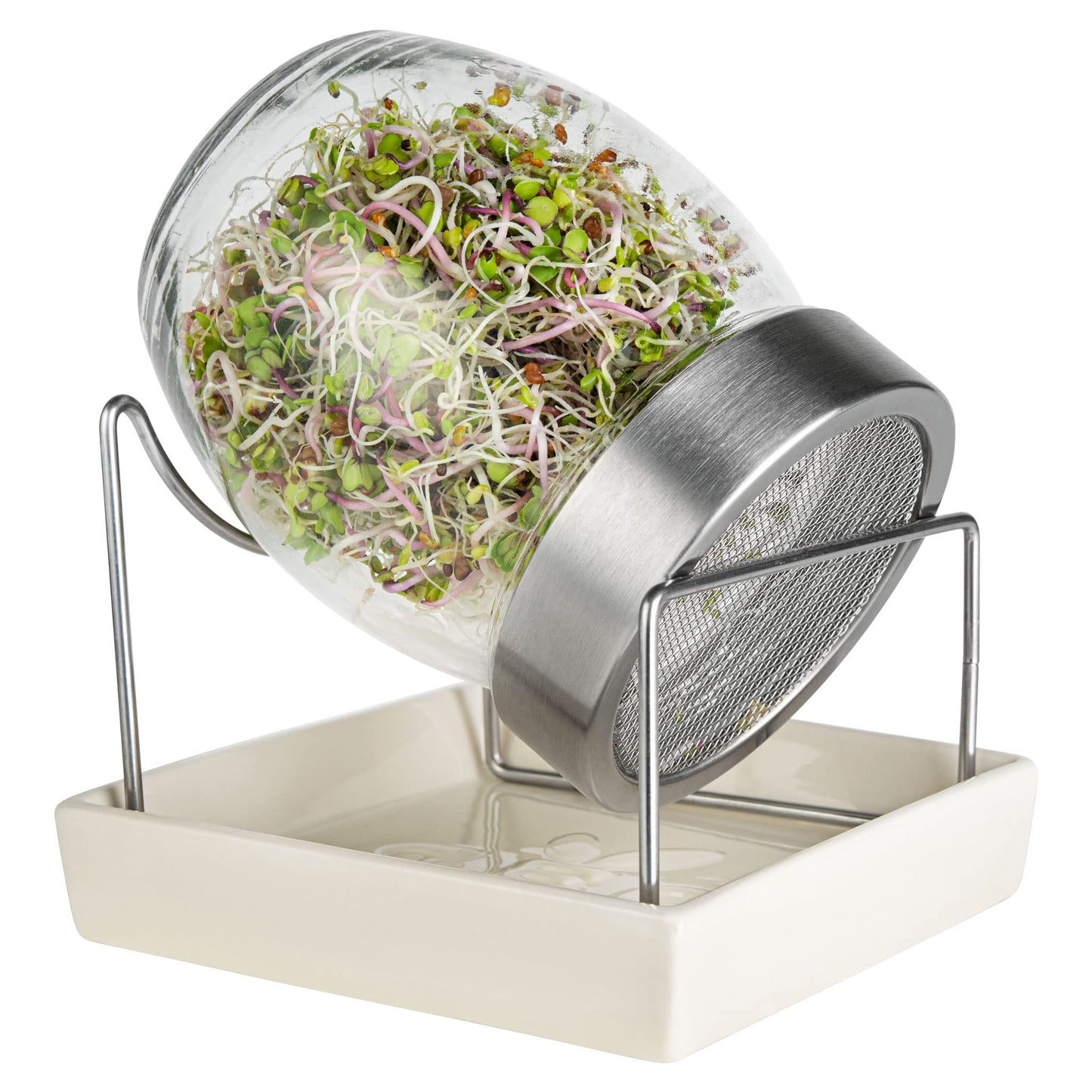 GEO Sprouting Jar - Italian Design - Glass Jar with Stainless Steel Screen, Rim, Stand on Ceramic Base
