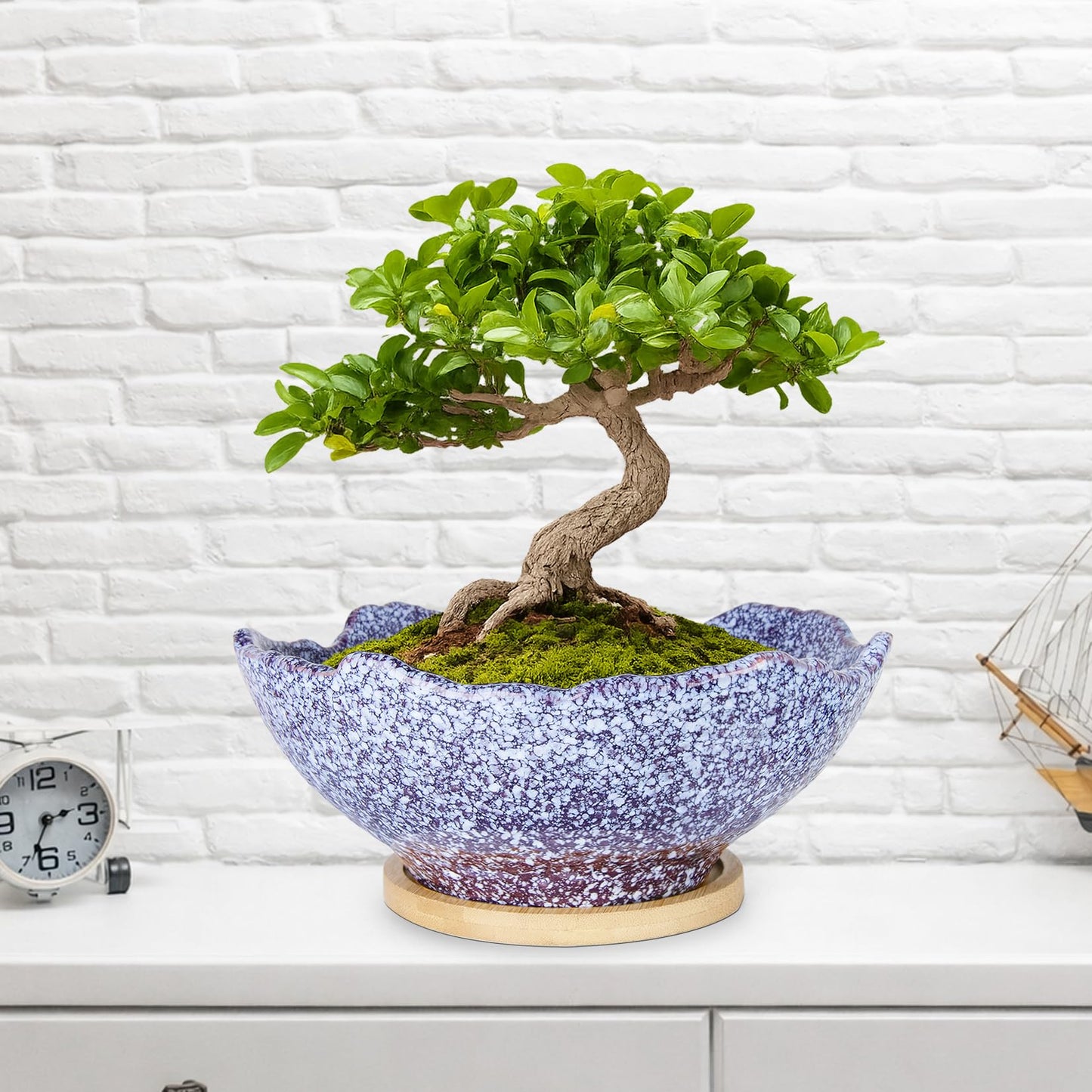 ARTKETTY Bonsai Pots - 9.06'' Ceramic Pots for Indoor Plants, Large Succulent Pots with Drainage Bamboo Tray, Unique Bonsai Tree Planters Round Cactus Flower Plant Container Bowl Home Office Decor