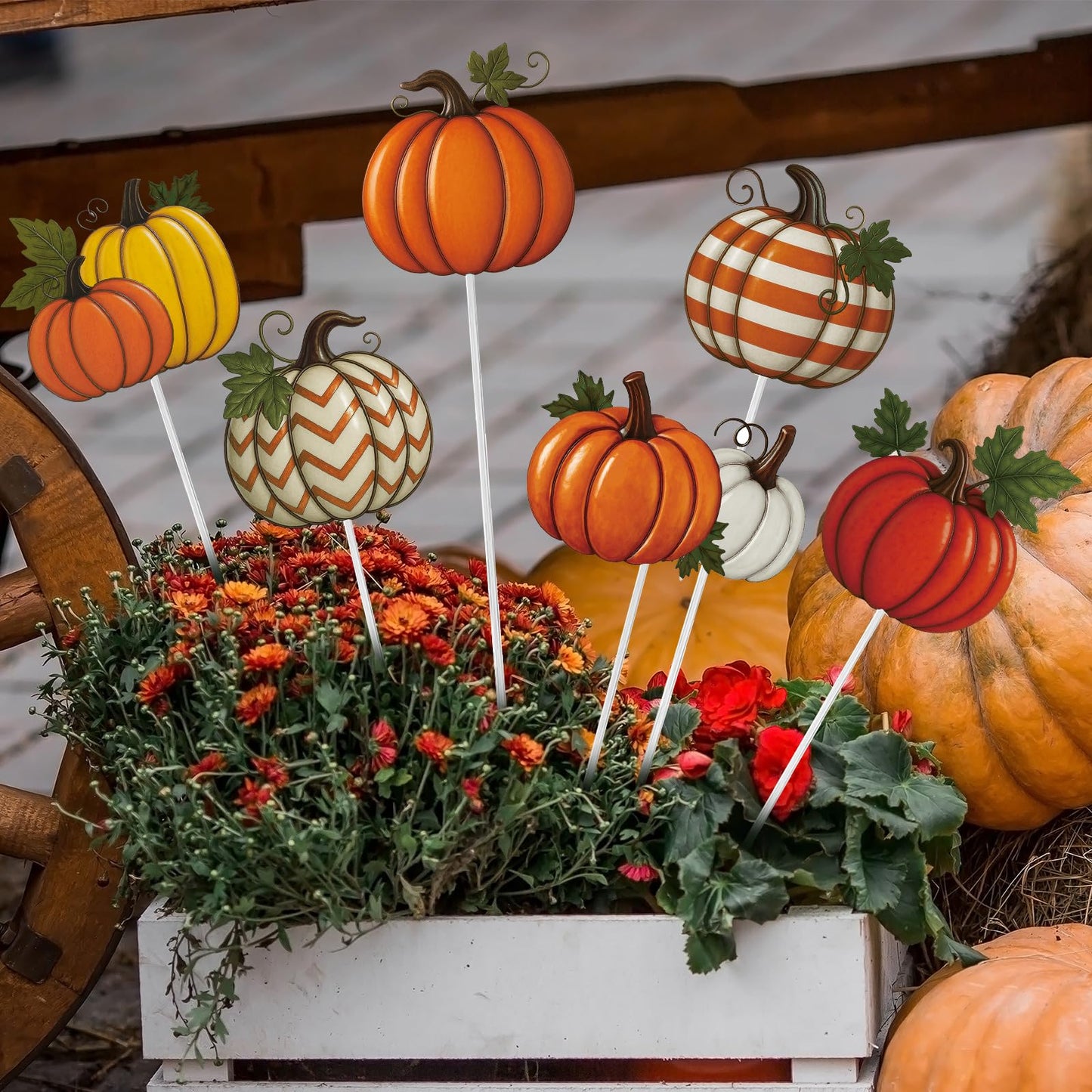 Shimeyao 6 Pcs Metal Fall Pumpkin Garden Stakes Harvest Metal Garden Signs 12 Inch Pumpkin Autumn Yard Stakes Outdoor Decor for Thanksgiving Home Lawn Porch Holiday Front Backyard