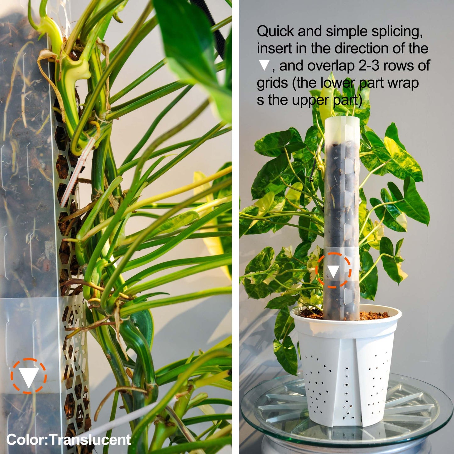 6 Pack Plastic Moss Pole for Monstera and Climbing Plants -Stackable Plant Support Stakes for Indoor Plants, Sphagnum Moss Compatible Poles for Aroid, Pothos, Philodendron