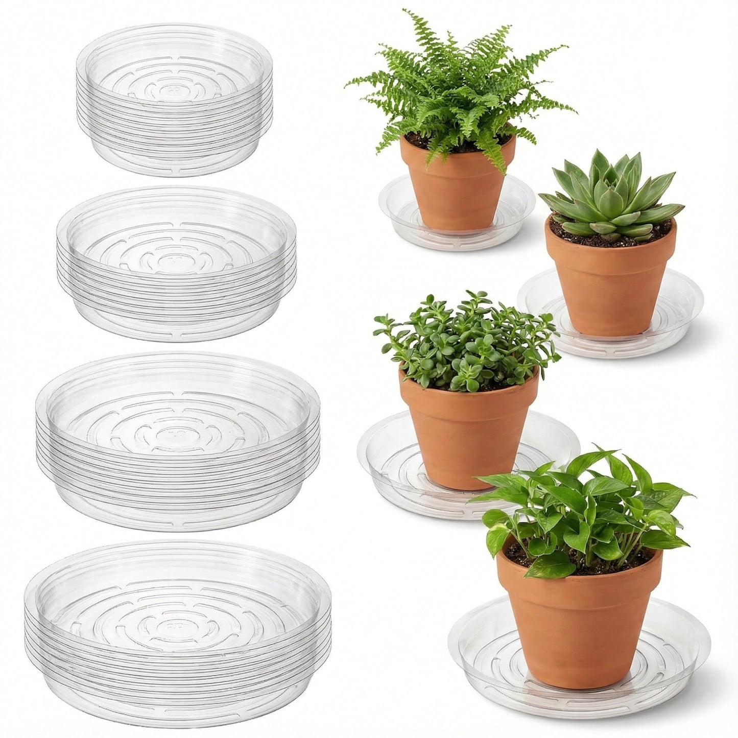 Kingrol 40 Pack Plant Saucers for Pots, 4 Sizes Plant Drip Trays (6/8/10/12 Inch), Lightweight Flexible PET Plant Pot Saucer for Indoor Outdoor Plants, Clear Flower Pot Tray