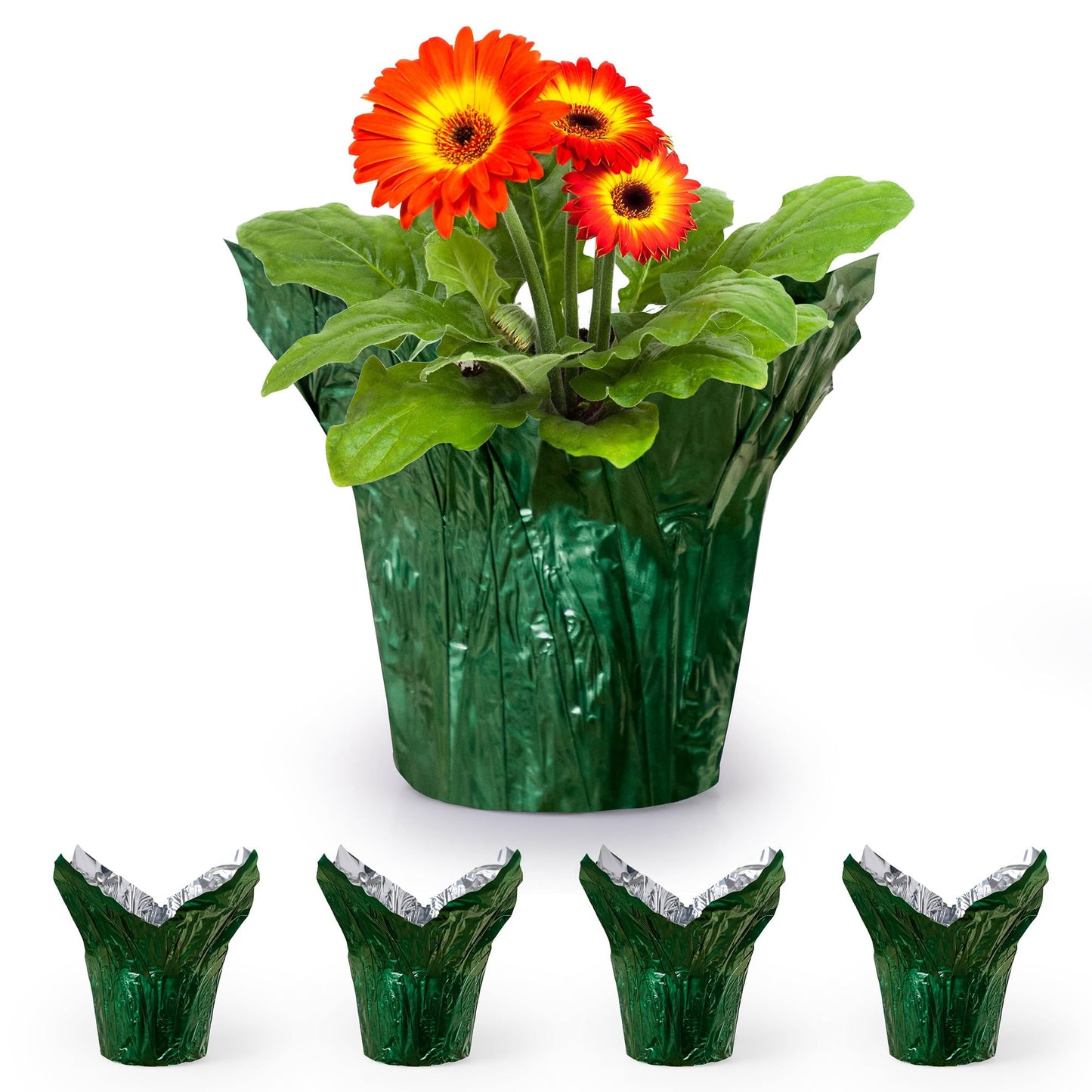 the florist Supply 6” AZA Plant Pot Covers, Decorative Plant Sleeve for Indoor & Outdoor House Plants, Reusable and Gift-Ready Foil Wrap for Flower Pots, Evergreen, Pack of 5