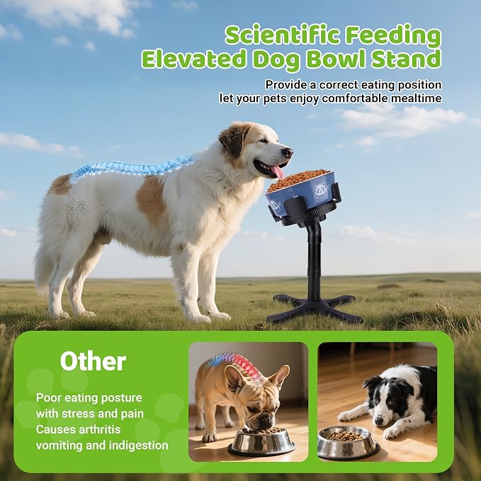 Dog Bowls Elevated Adjustable Stand, Raised Bowl with 3 Heights & Tilted Feeding Stand, Compatible with Various Bowls, for Medium & Large Breeds (with Bowl) Black