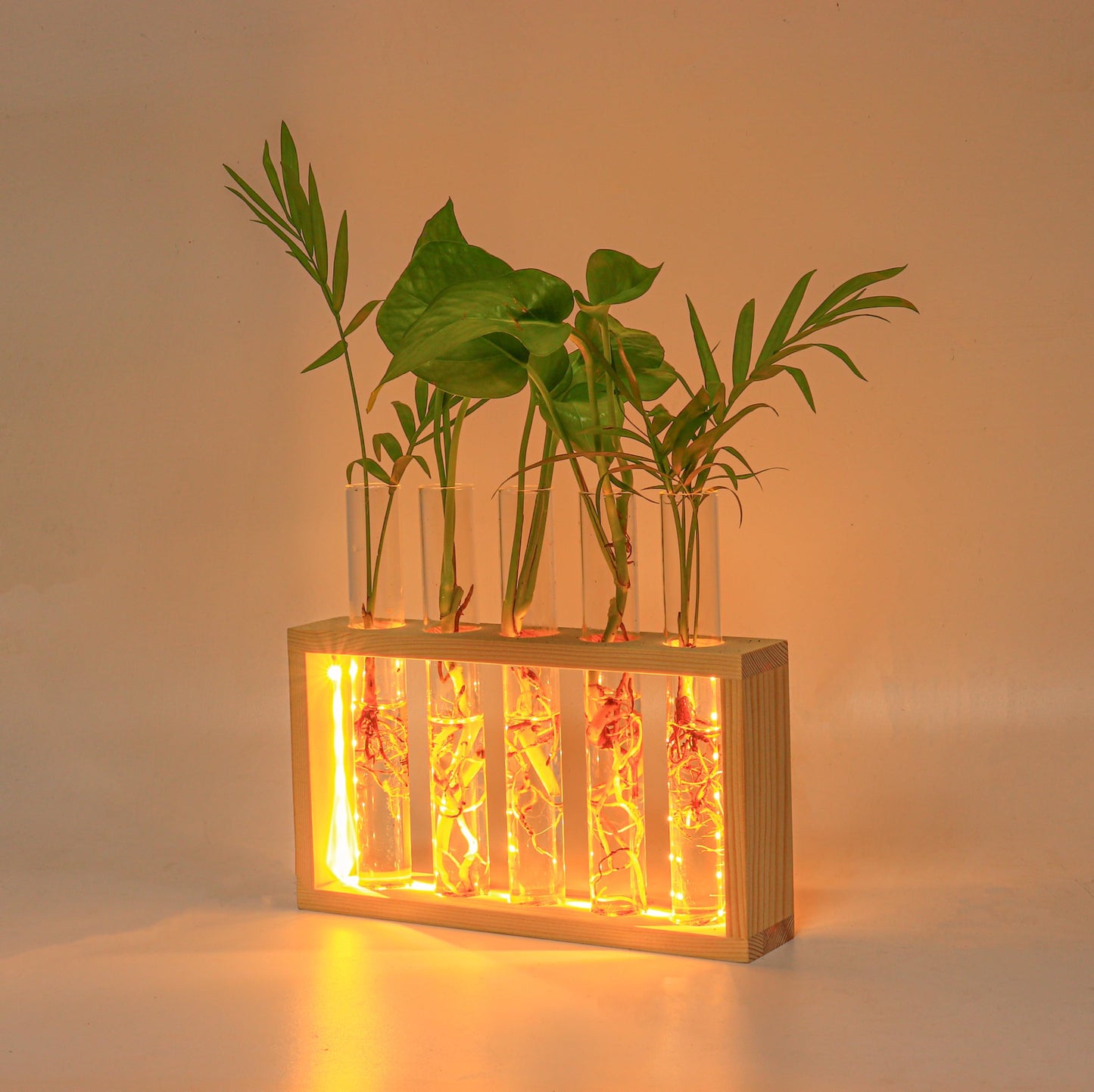 Plant Propagation Station with LED Lights, Plants Terrarium with Wooden Stand, 5 Glass Test Tube Vases for Propagating Hydroponic Plants Cutting Office Home Desk and Garden Decor Gift for Plant Lovers