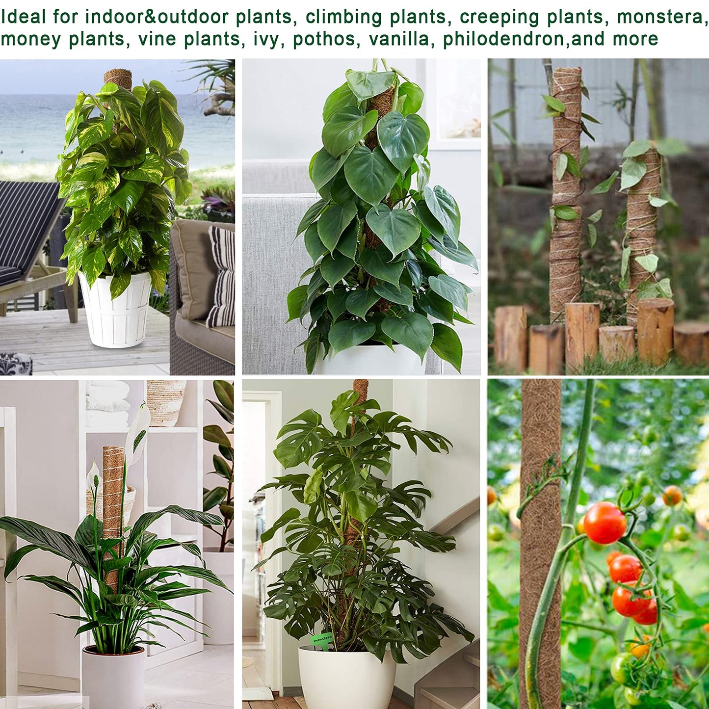 Fabulas Moss Pole 47.5 Inch - Monstera Plant Support, 4 Packs 16 Inch Plant Stakes for Indoor Plants Coco Coir Moss Pole Sticks for Climbing Potted Live Plants, Pothos, Philodendron, with Garden Ties