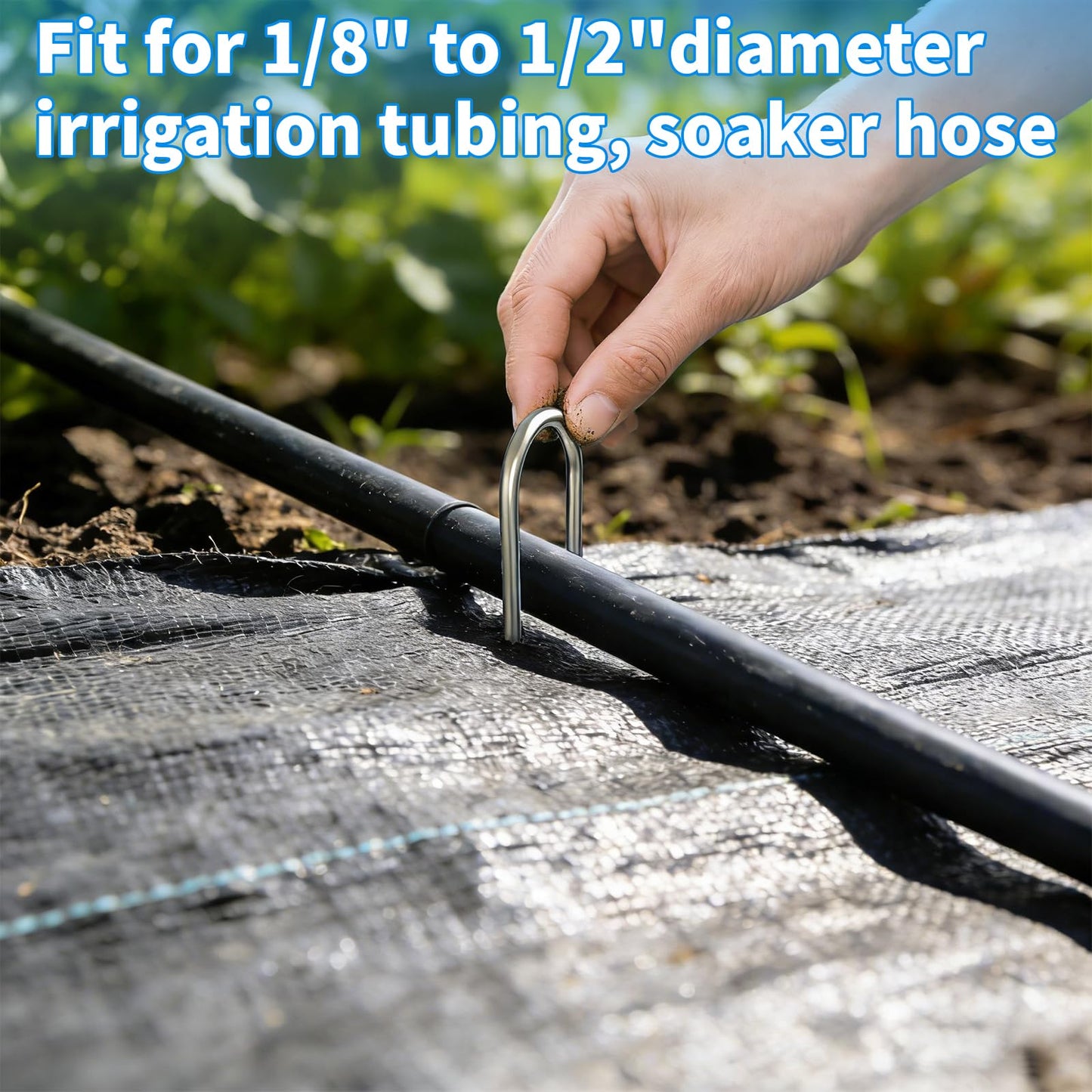 MySit 200 Pack 4 Inch Garden Stakes, Galvanized Drip Irrigation Stakes U Shaped Landscape Staples Ground Stakes for 1/8" to 1/2" Soaker Hose,Irrigation Tubing, Garden Hose, Weed Barrier