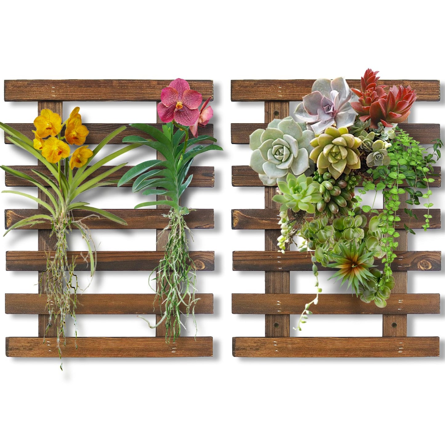 Mulctun 2 Pcs Wall Planters - 11.4"W X 15.7"H Wooden Wall Planters for Indoor Outdoor Plants,Hanging Wood Wall Trellis,Wall Mounted Plant Holder for Orchids,Succulent,Air Plants,Hanging Pots Display