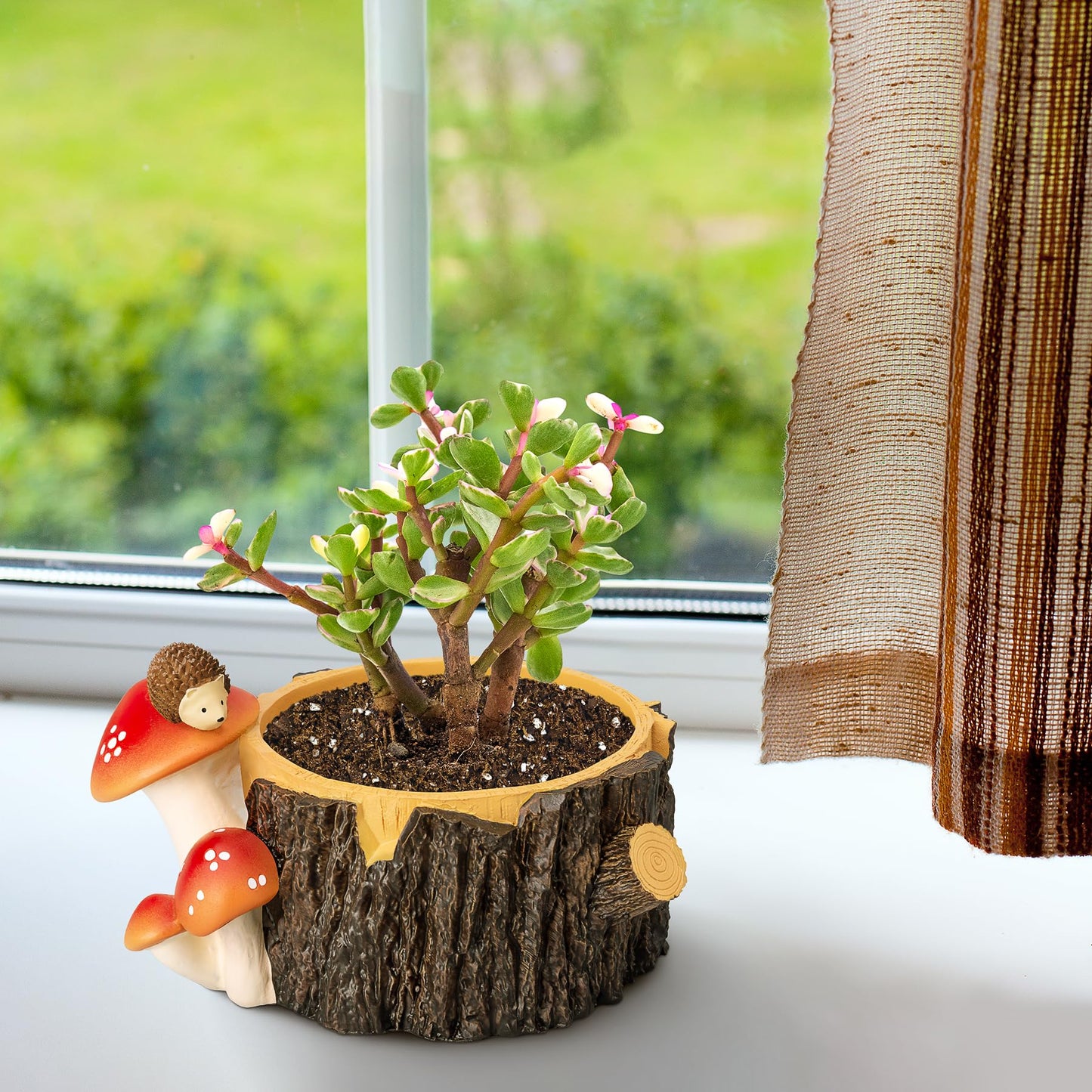 Yiiwinwy Hedgehog Succulent Pots with Drainage Hole，Plant Pots for Indoor Plants/Cactus/Succulent,Indoor Planter Gift for Plant Lover, Decorative Novelty Planter