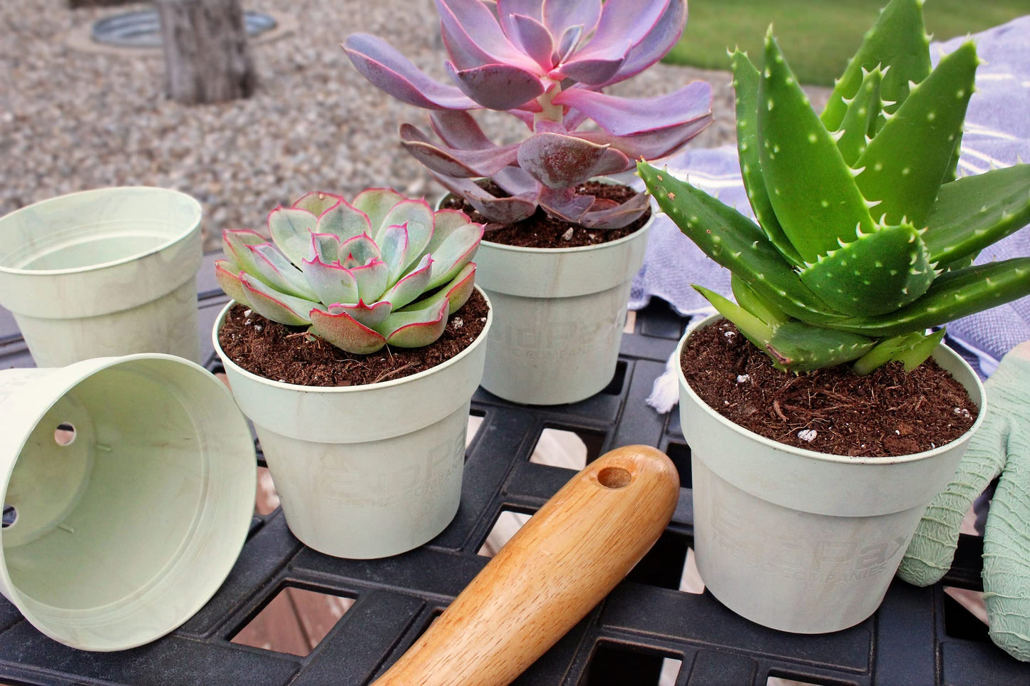 The HC Companies Biopax 4 Inch Eco-Friendly, Biodegradable Plant Pots - Perfect for Seed Starting or Vegetables (Set of 6)