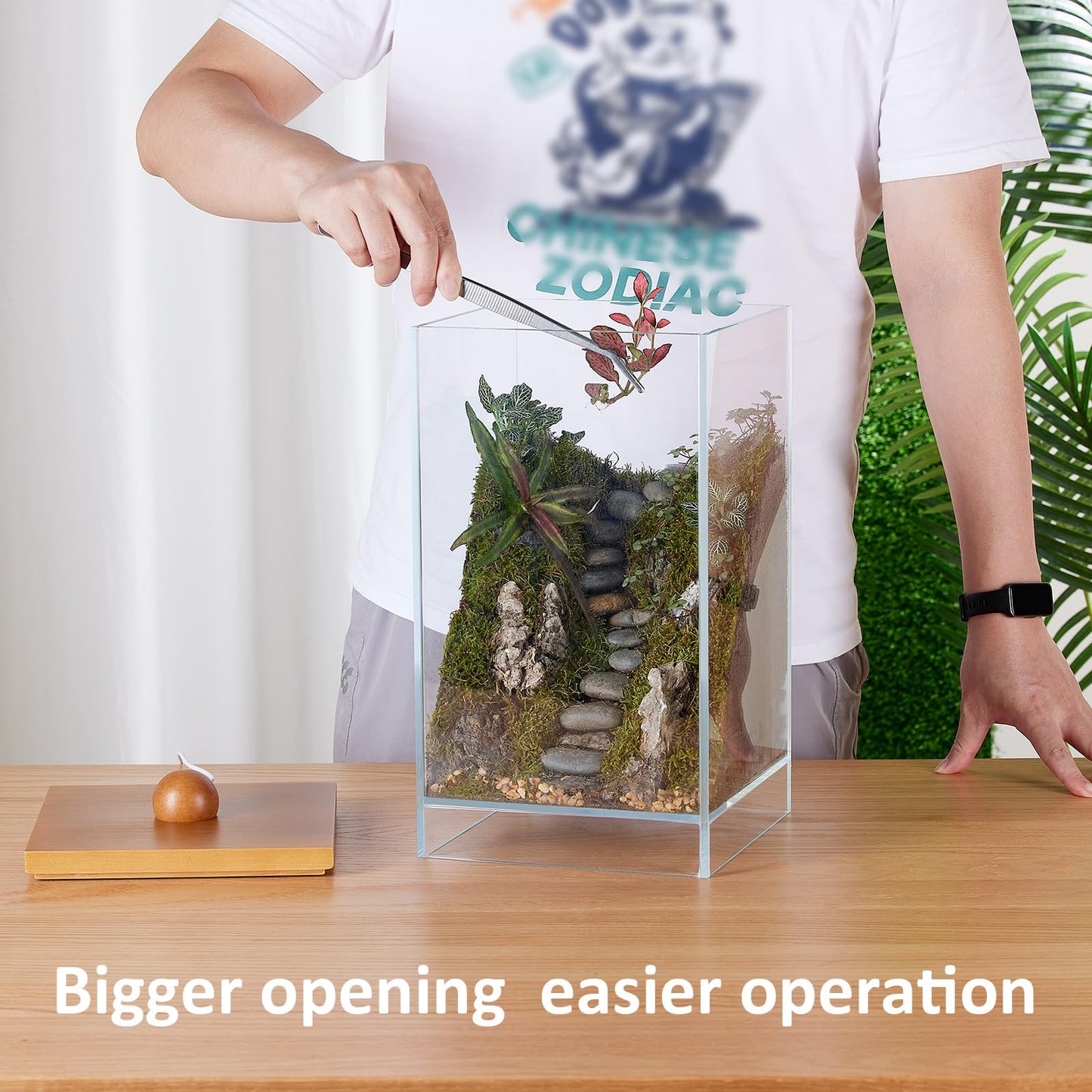 13.7H+7.8W Desktop Glass Plant Terrarium with Light, Large Propagation Station for Succulent, Moss, Miniature Gardening Landscape, Betta Fish Tank
