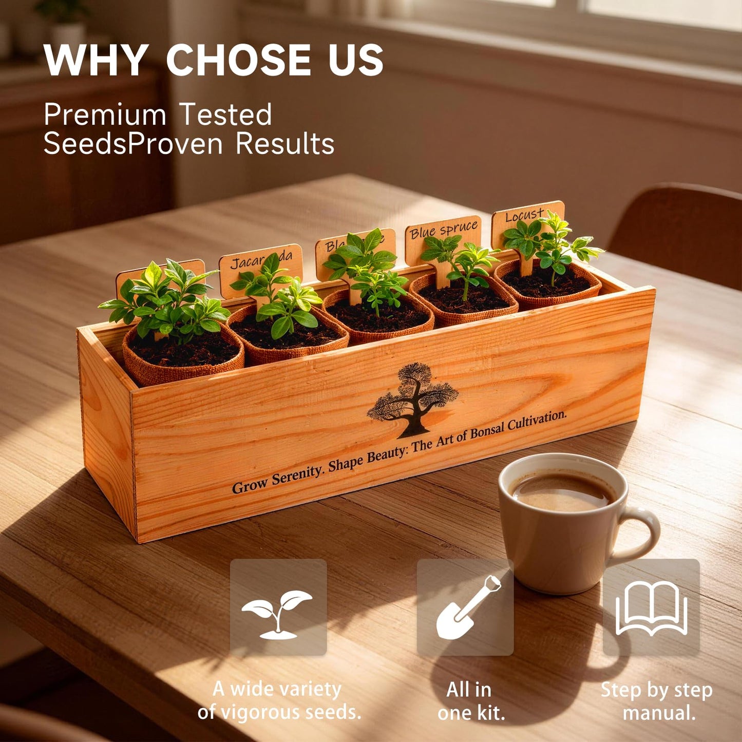 5X Bonsai Starter Kit, Bonzai Seed Kits, Durable Planting Bags, Complete Indoor Starter Kit for Growing Bonsai Plants, Gardening Gifts for Women & Men