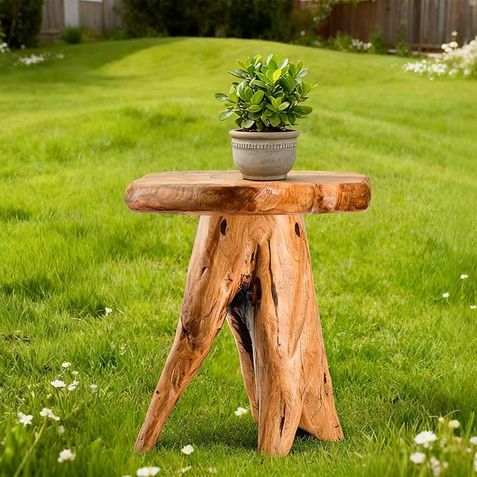 18.9 inch Live Edge Wood Stool, Live Edge Wood Stool, Freeform Mushroom Side