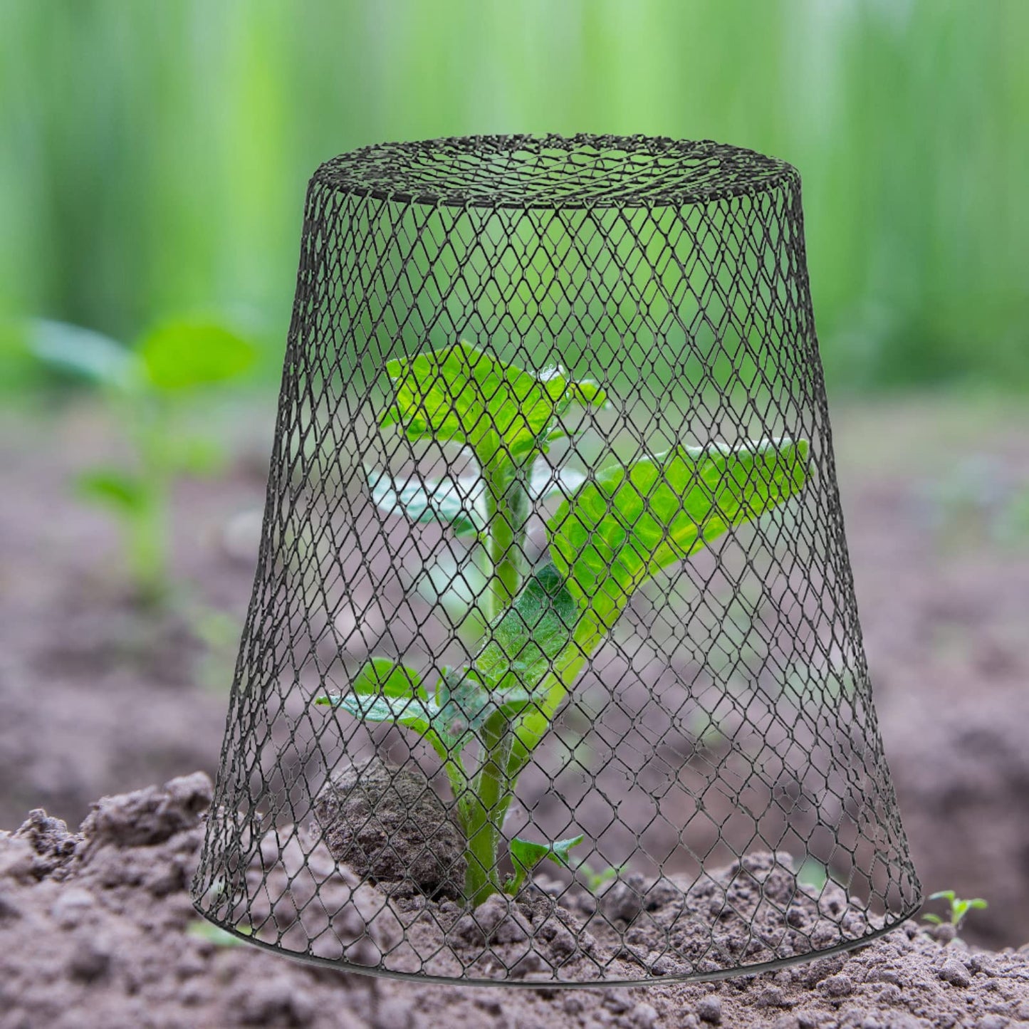 24 Pcs Chicken Wire Cloche Plant Protector Cover Plant Protector from Animals Metal Garden Protections for Plants, Shrubs and Vegetables with 48 Ground Stakes (24)
