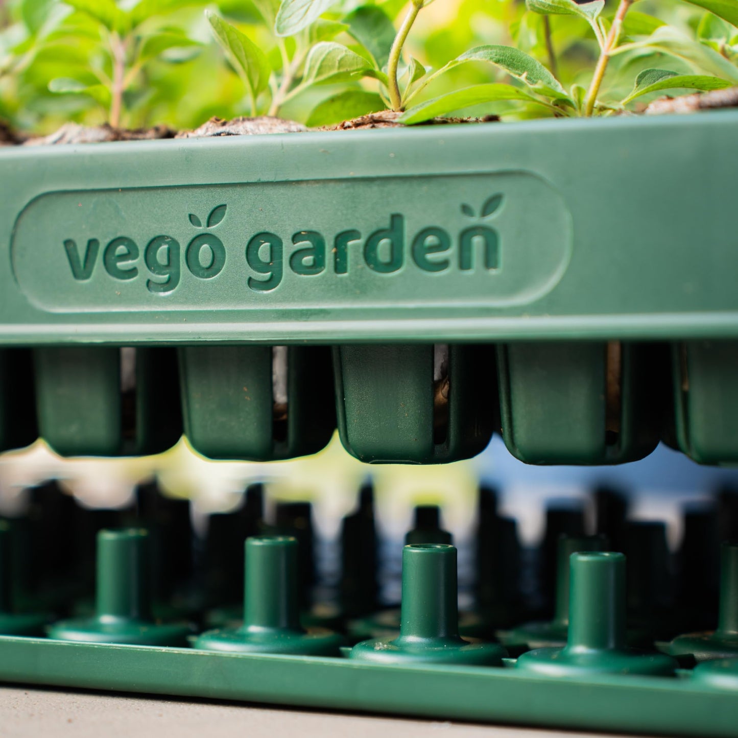 Vego garden Seedling Suite Products 10" x 20" 76 Cells Stackable Seed Starter Germination Tray with 3-in-1 Plant & Pop Board and 10" x 20" Bottom Watering Tray