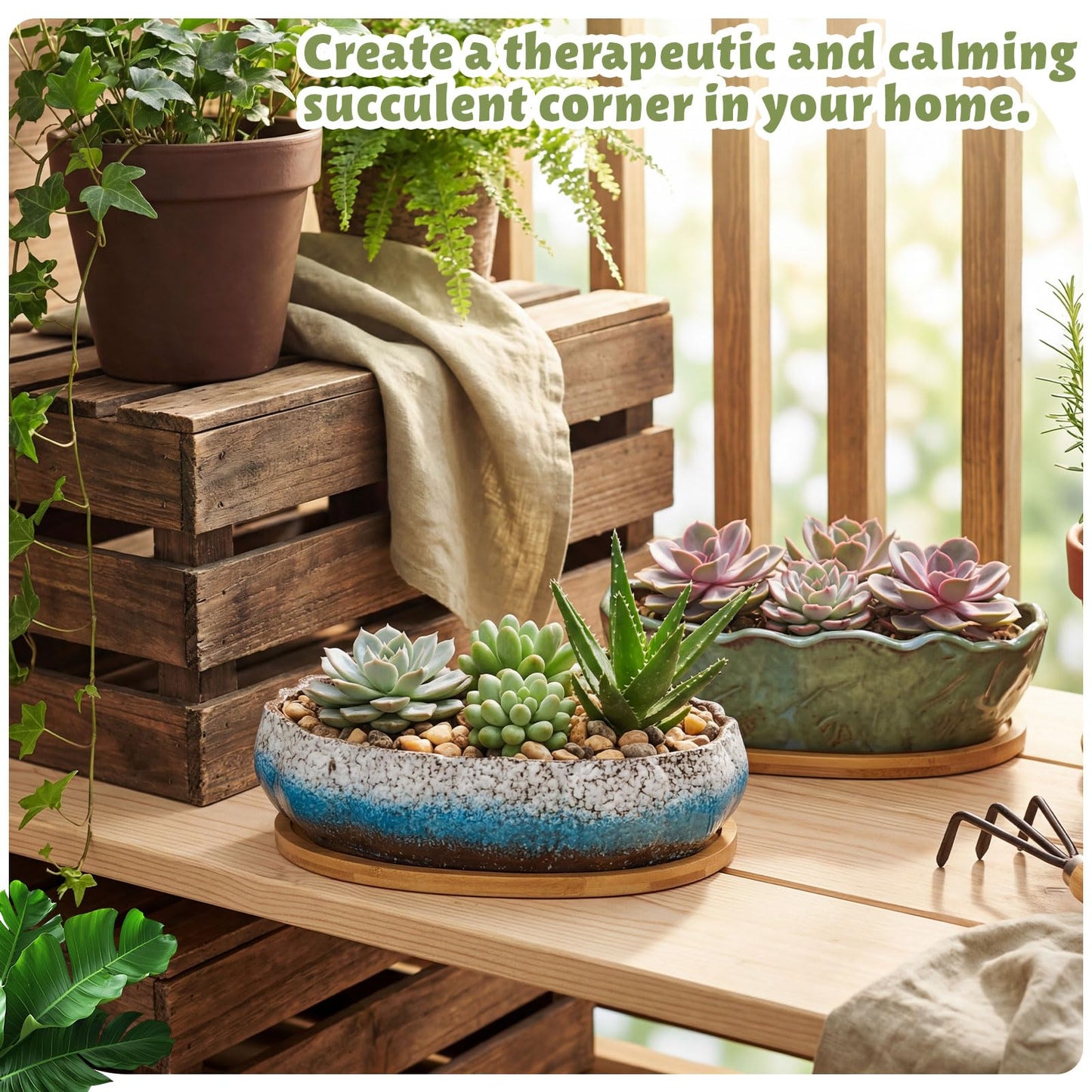 Singhoow Succulent Planter Pot with Drainage Holes Large Ceramic Glazed Planter with Bamboo Wooden Tray and mesh Pads Shallow Bonsai Pot for Indoor Cactus Flower Plant(Lotus-Shaped,Turquoise)