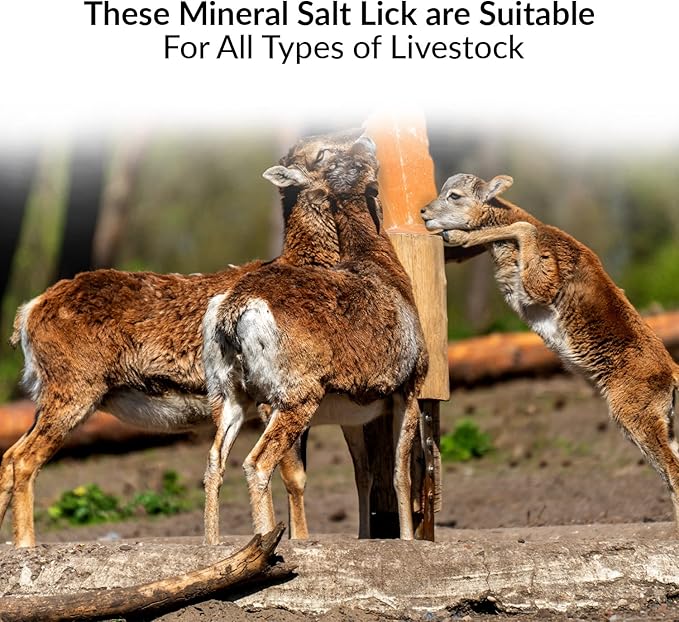 Licking Salt for Deer - 6 Pack, Pink