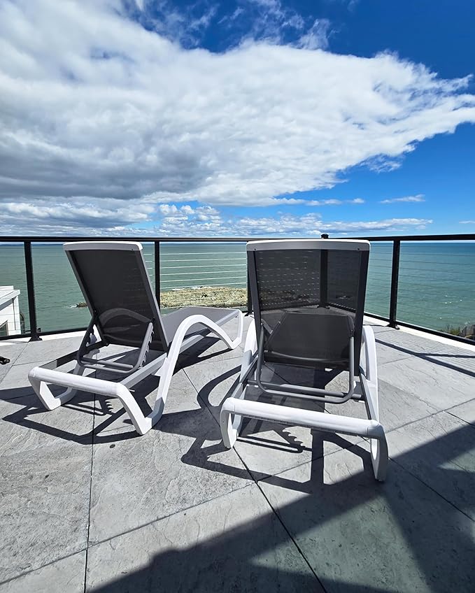 PURPLE LEAF Patio Chaise Lounge Chair