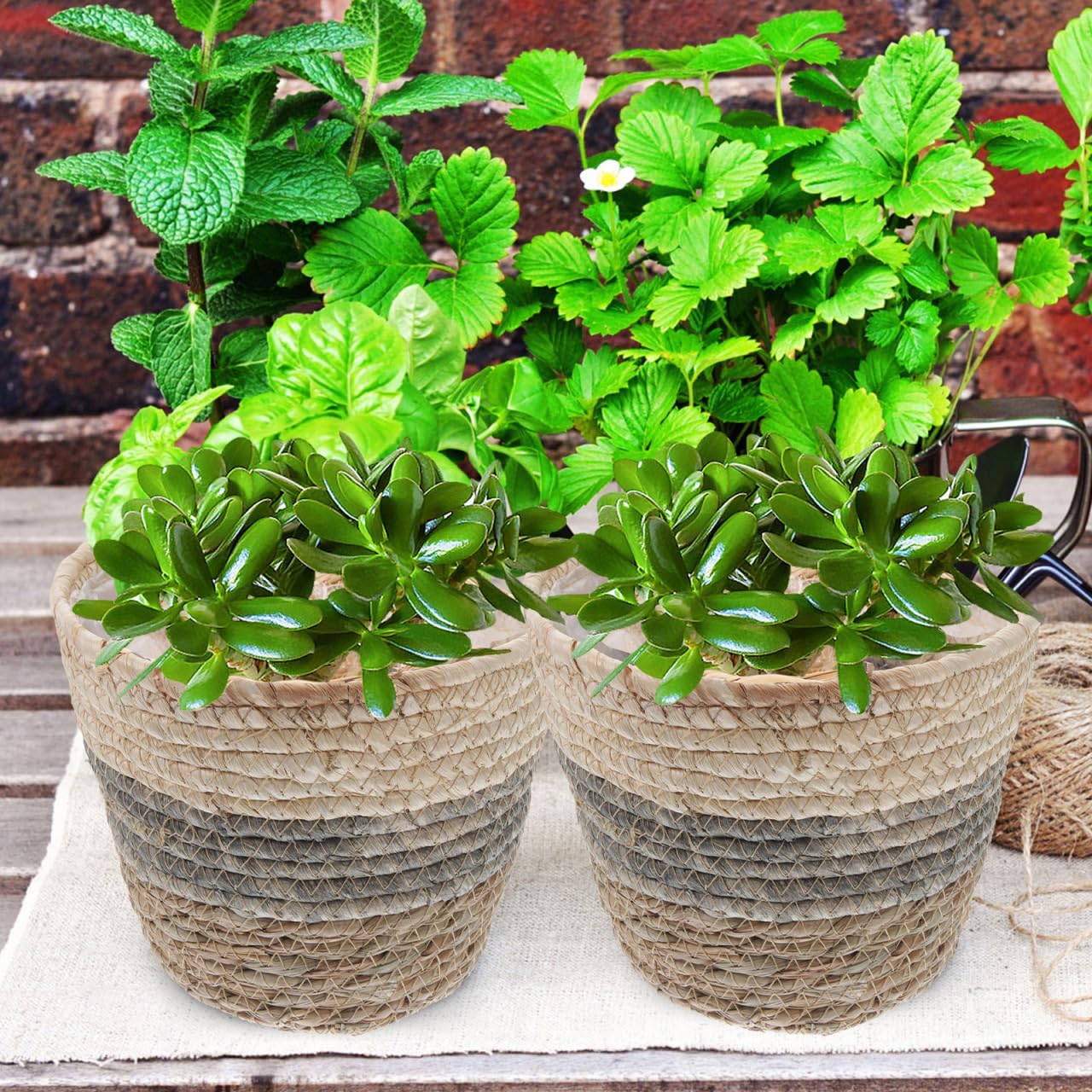 Healeved 2PCS Seagrass Plant Basket with Liner for Indoor Plants Rattan Pots 6inch Weaving Straw Planter Baskets Wicker Small Rustic Decorative Flower Pots for Desktop