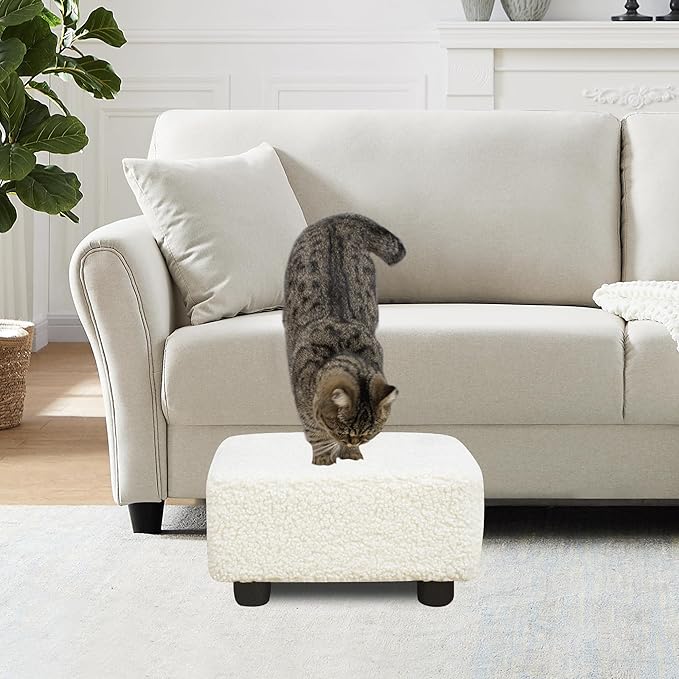 CAROLMADE Small Foot Stool Ottoman Footstool