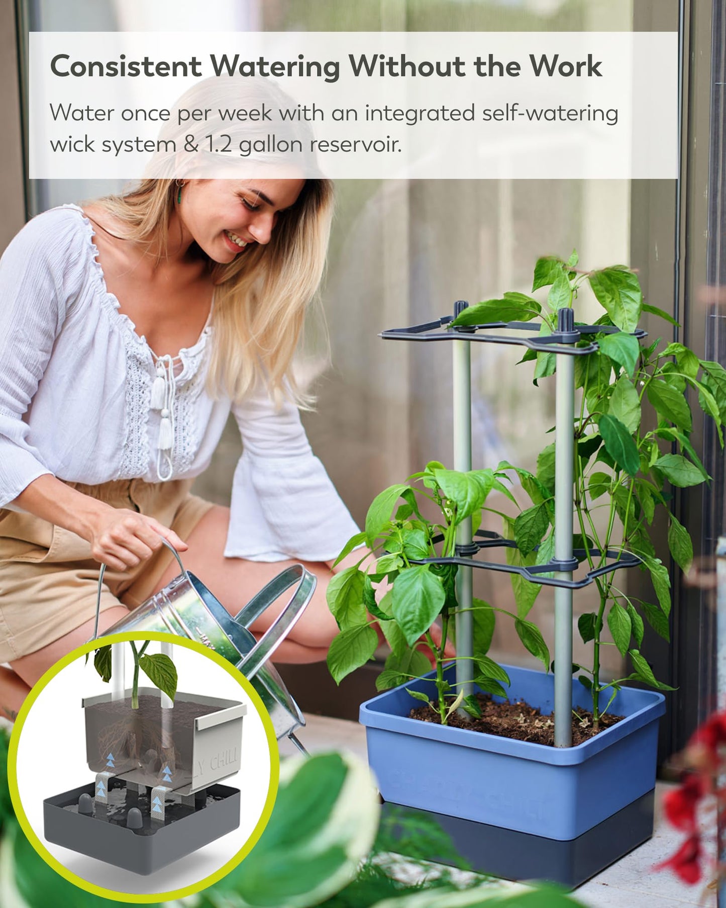 BUZZY Seeds Charly Chili Self-Watering Planter with Vertical Trellis – 1.2 Gal Reservoir, Large Capacity Planter for Chili Peppers, Bell Peppers & Eggplants (Blue)