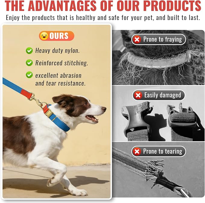 Dog Collar and Leash Set with Metal Quick Release Buckle, Adjustable, Breathable Nylon, Durable, Soft and Comfortable, No Pull for Walking and Training, Blue, L (14.9"-22.8")
