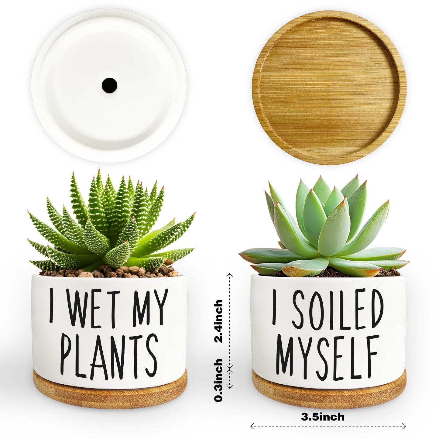 2 Pack I Wet My Plants - Funny Ceramic Planter Pot with Drainage, Cactus Pot, Cute Succulent Pots,Aloe Vera Plant Pot,Funny Plant Gifts for Women, Friends, Coworker