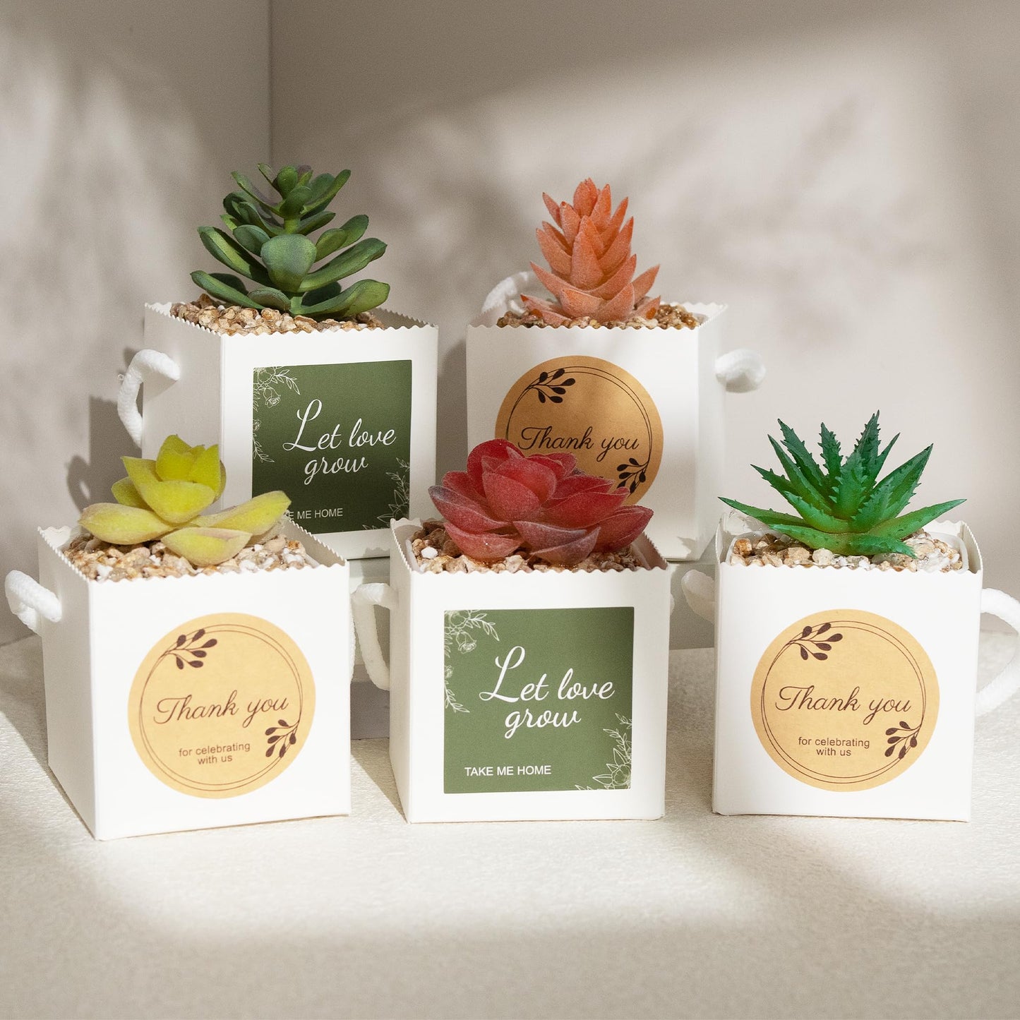 Temlum 2.5 Inch Succulent Wrap Bags (Fits 2.5″ Pots) with Thank You & Let Love Grow Stickers, Small Gift Box for Wedding, Baby Shower, Succulent Party Favors for Guests (White 100pcs)