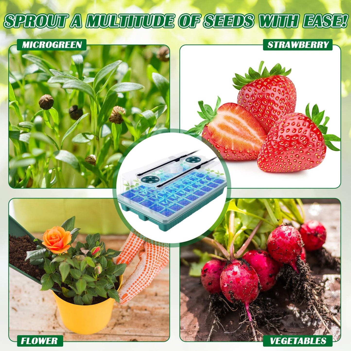 FillTouch 2 Packs 80 Cells Seed Starter Trays Kit with 4 Grow Light Seed Starter Kit Seedling Starter Trays with Humidity Dome and 80 Pcs Peat Pellet for Garden Seeds Propagation Seedlings