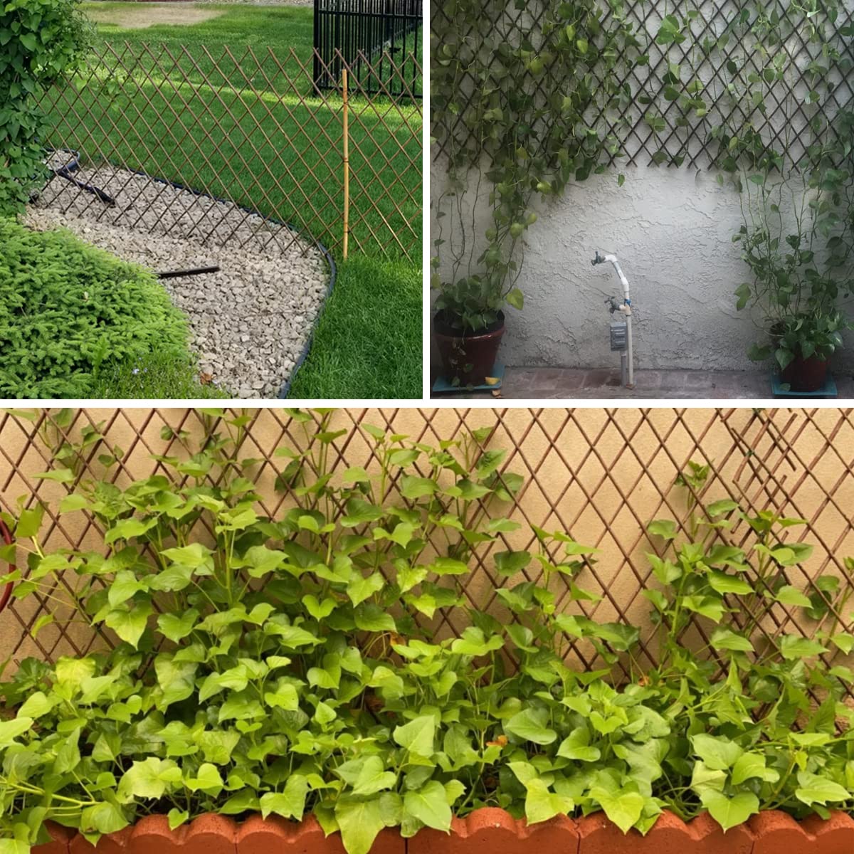 Helprise Expandable Willow Lattice Fence Panel Plant Support Garden Trellis for Climbing Vine Ivy Rose Cucumbers Clematis Outdoors Garden Yard, 36X92 Inch(1PC)