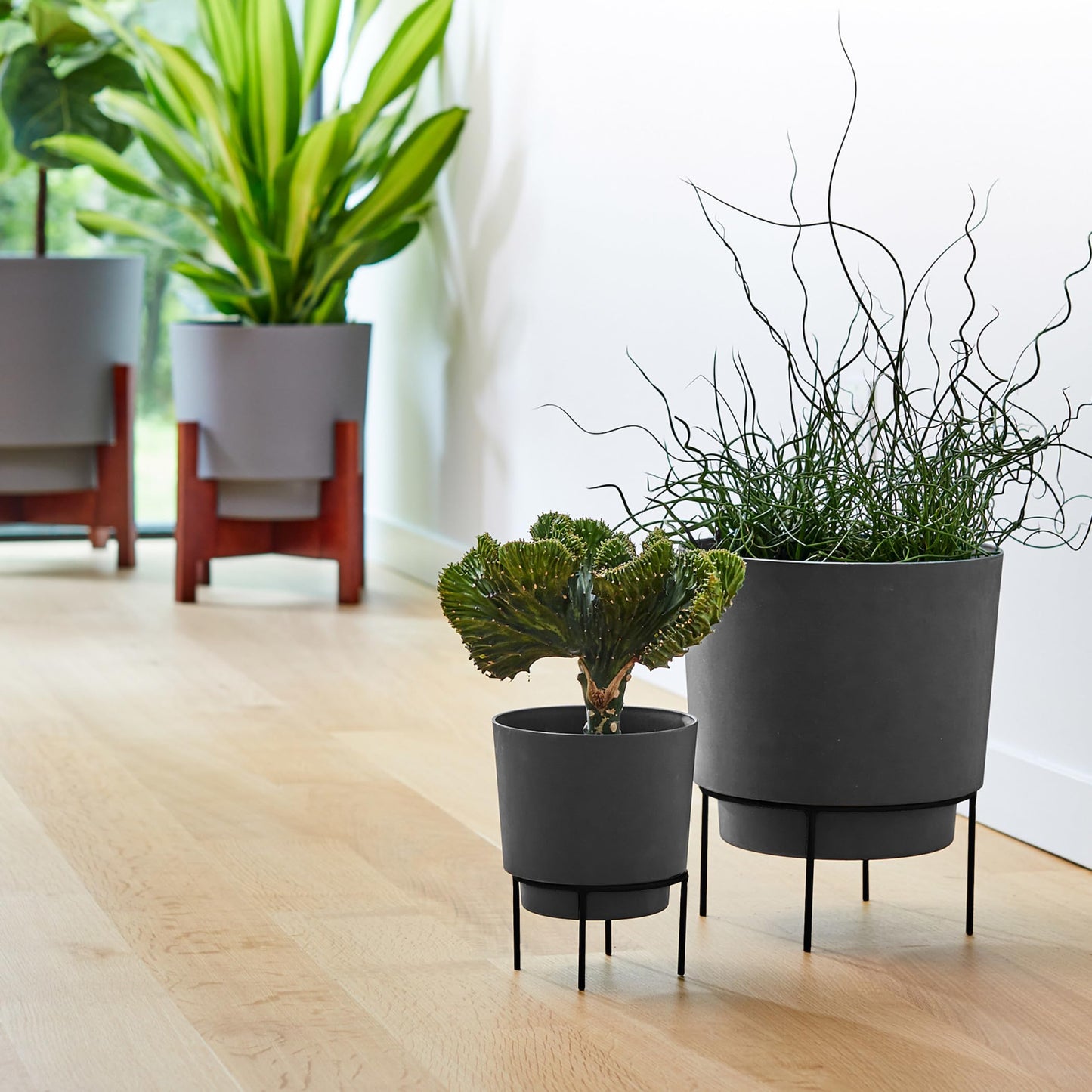 Bloem Hopson 10" Plastic Cachepot with Metal Stand - Decorative Indoor Planter with Black Metal Stand, Charcoal