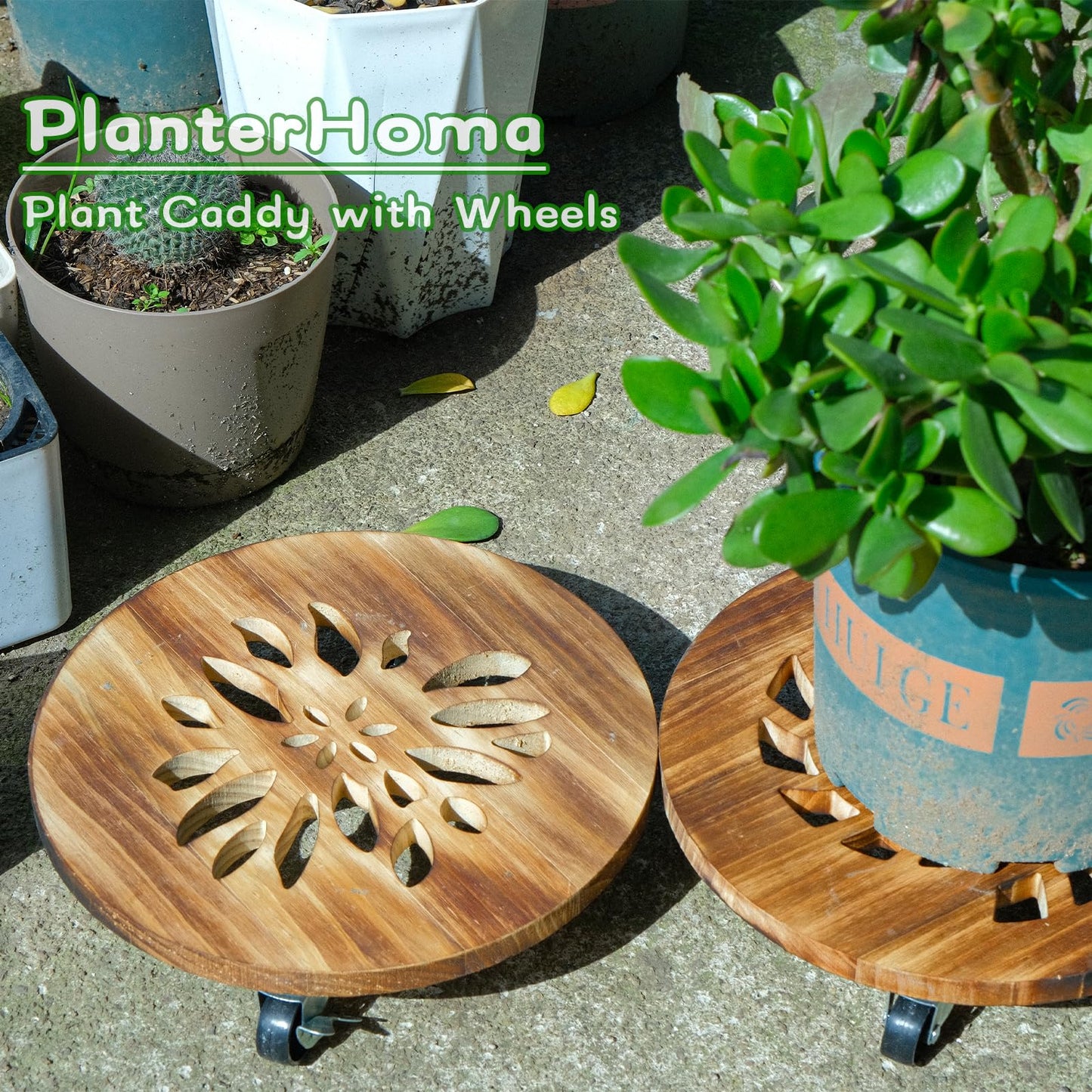 4 Pack Plant Caddy with Wheels Heavy Duty 12 Inch Wooden Plant Stand with Wheels Plant Dolly Rolling Plant Stand Plant Roller with Casters for Indoor and Outdoor with 4 Pack Plant Saucers, Round