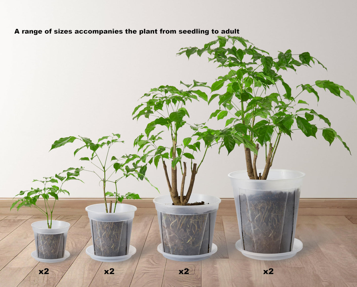 TineDew 8 pcs 5/6/7/8 inch Large Clear Nursery pots for Plants with Saucers,Thick Plastic Nursery pots for Plants with Drainage Holes for Monstera Plant Live,Ariod,etc