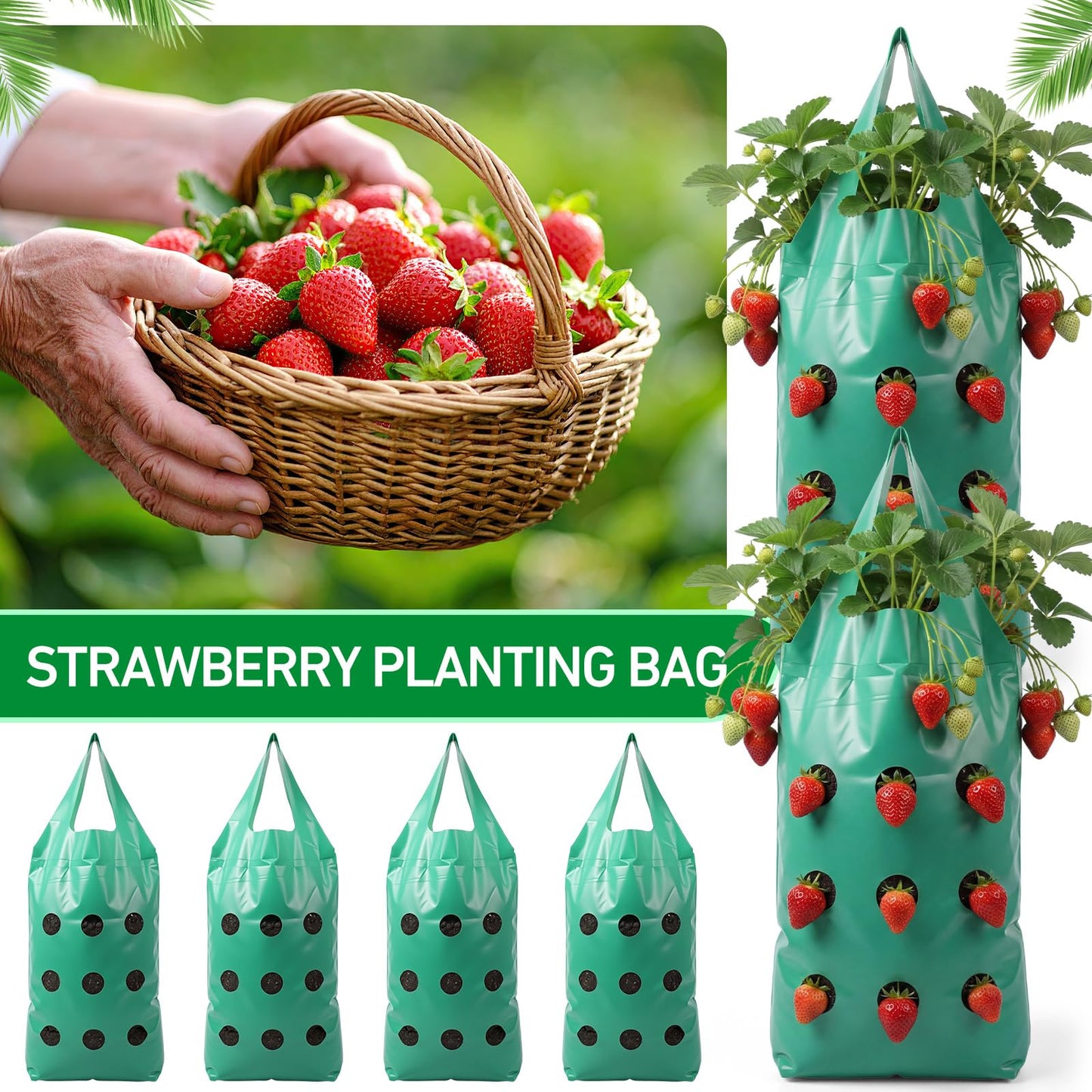 50 Pack Hanging Strawberry Planter Grow Bags, 9 Hole Plastic Hanging Vertical Planters, Upside Down Garden Bags with Reinforced Handles for Outdoor Wall Strawberries, Cherry, Tomatoes, Flowers, Tomato