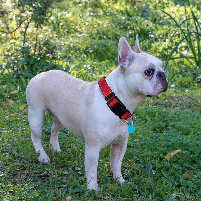Ladoogo Reflective Dog Collar Padded with Soft Neoprene Breathable Adjustable Nylon Dog Collars for Small Medium Large Dogs (Small (Pack of 1), Red Collar+Leash)