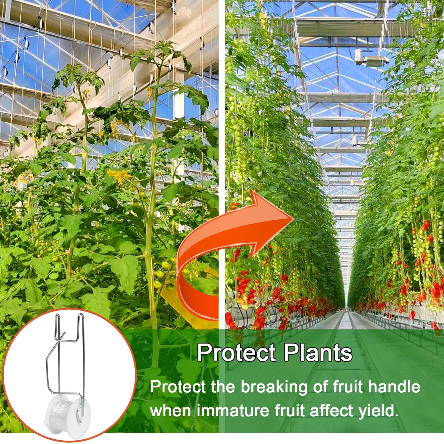Hidbot Tomato Support Hooks with String,10 Pack Tomato Trellis Roller Hooks with 49.2FT String for Plant,Greenhouse Tomato Flower Vine Twine Crop Trellis Kit Tomato Plant Roller Hook