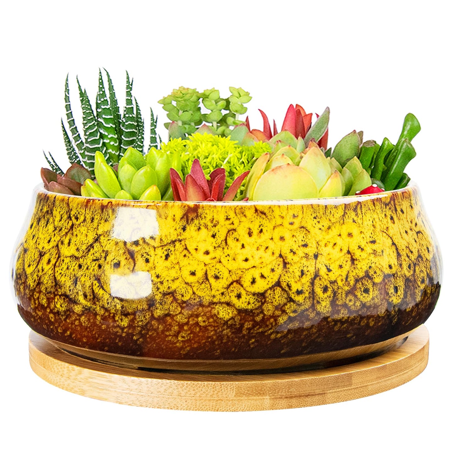 ARTKETTY Succulent Pots - 8 Inch Plant Pot, Large Bonsai Pots with Drainage Tray, Ceramic Planters for Indoor Outdoor Plants, Round Shallow Cactus Flower Plant Container Bowl Decorative Home Garden