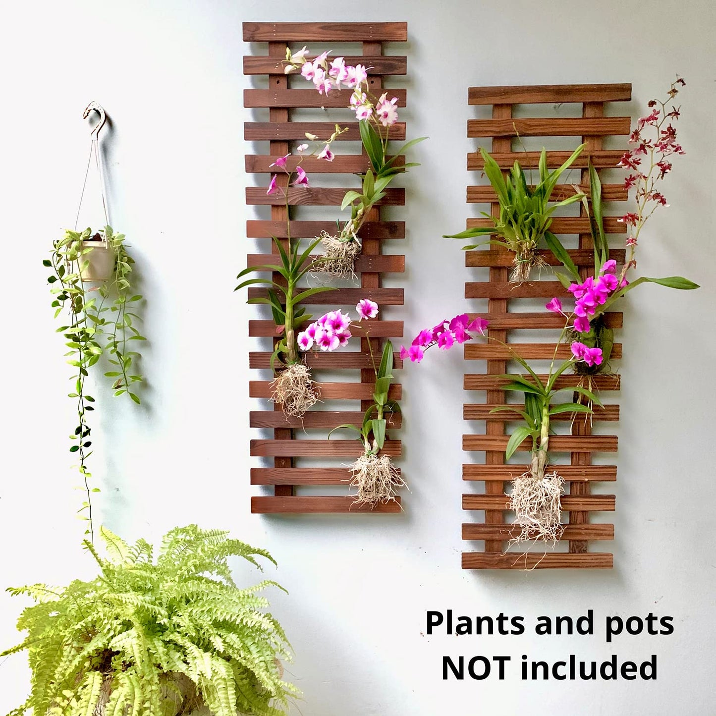 LalaGreen Bundle - 5" Pot + 35.4" Wooden Plant Holder, Black Self Watering Pot, Wooden Hanging Planters for Indoor Plants, Wall Mounted Plant Stand Ladder Outdoor Vertical Garden, Wall Hanging Pots