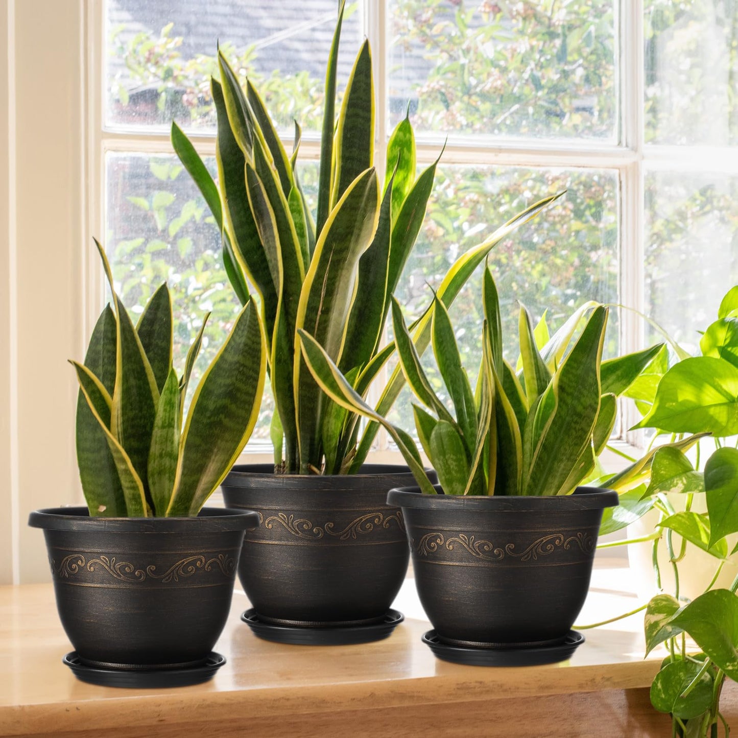 Ziliny 6 Pack 10 Inch Plant Pot Plastic Flower Planters for Indoor Outdoor with Drainage Hole and Trays Lightweight Retro Antique Imitation Decorative Garden Containers Sets with Saucer