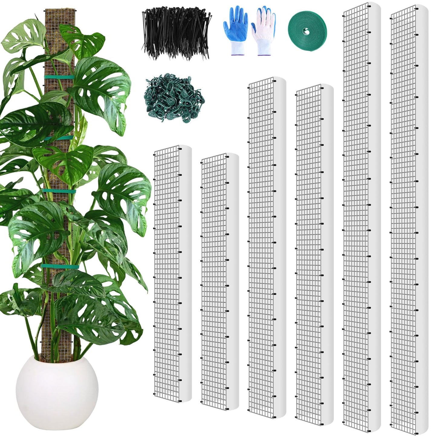 24"+40"+60" Metal Moss Pole - 6 Pack D Shape Sphagnum Moss Pole, Moss Poles for Climbing Plants, Monstera, Climbing Plants Indoor